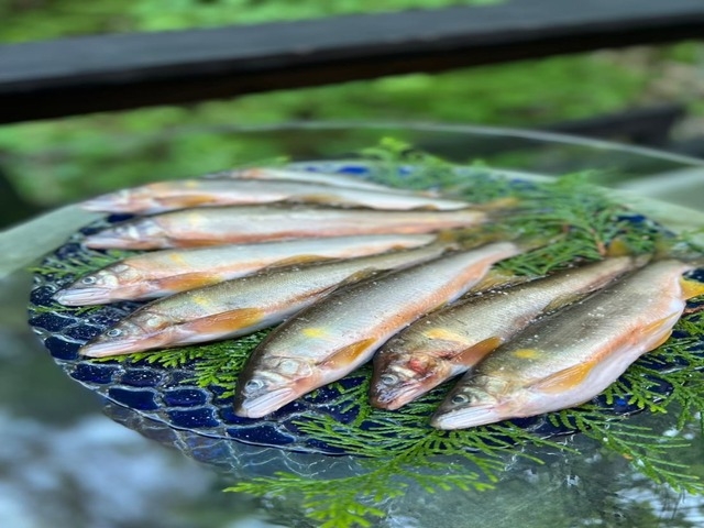 【一棟貸切×家族時間】川のせせらぎに包まれる休日。安心のプライベート露天風呂とツリーハウス＆BBQ