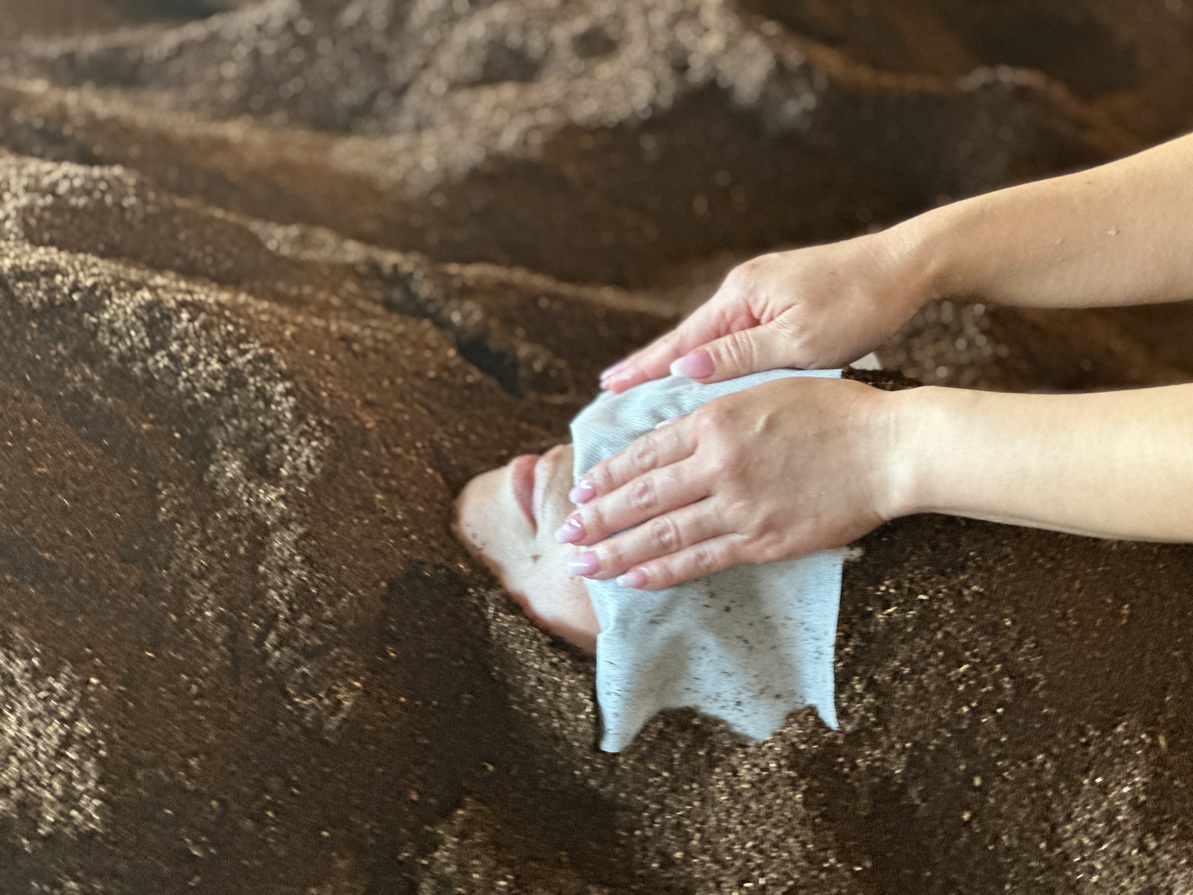 【ロキデ本館】朝食なし素泊まりプラン　（ディナーはコース　or　単品料理　or　なし） 