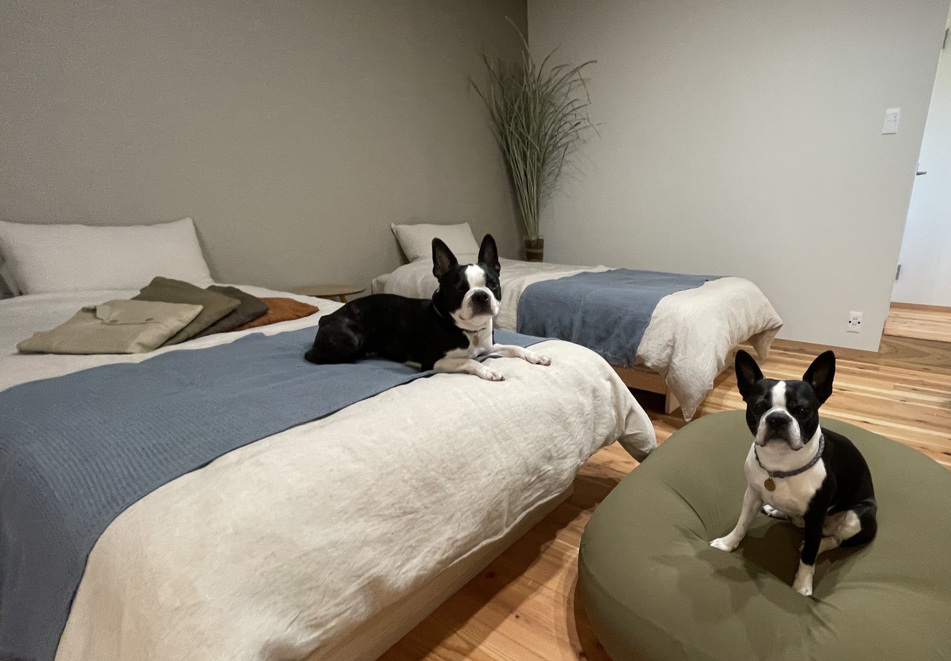 RK Wan’s Retreat -ペット可の離れのお部屋-