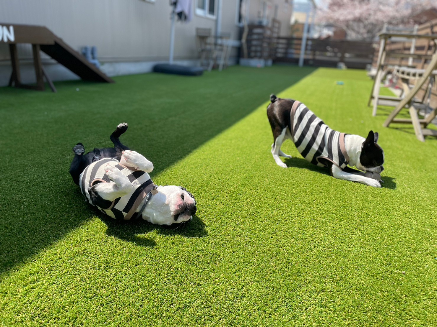 RK-ペットと泊まれる離れのお部屋-＜ドッグラン＞