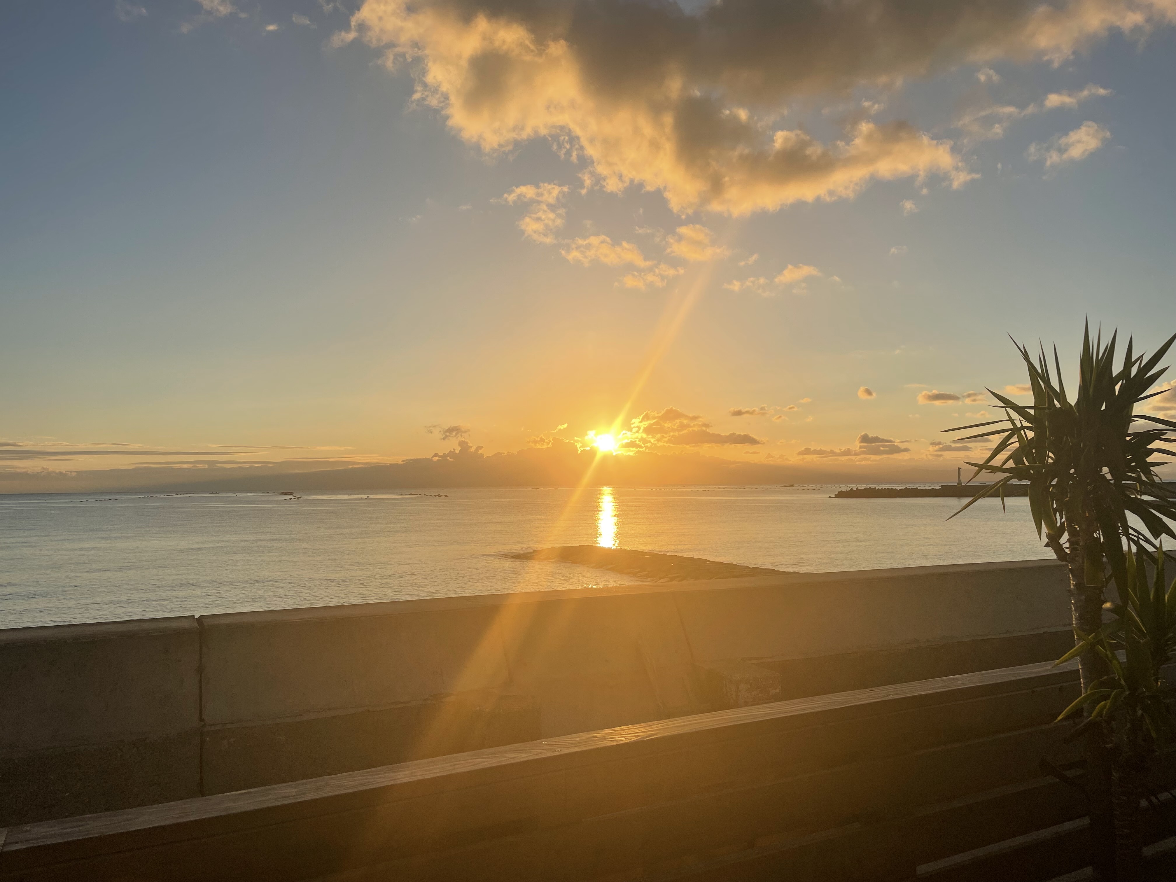 テラスからみる日の出