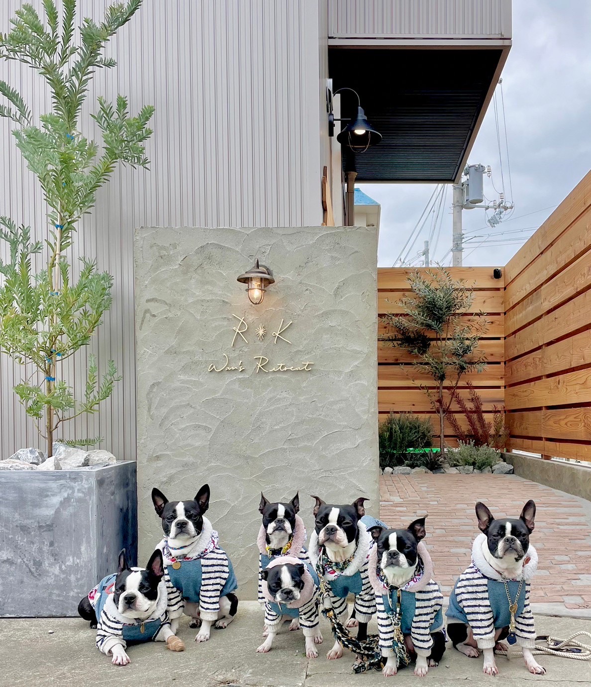 RK-ペットと泊まれる離れのお部屋