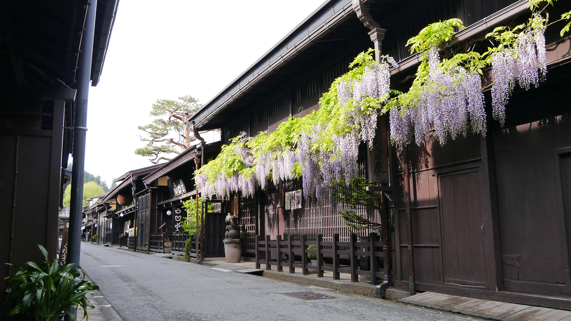 【古い町並】高山観光で１番人気の上三之町（かみさんのまち）付近は「古い町並」と呼ばれています。