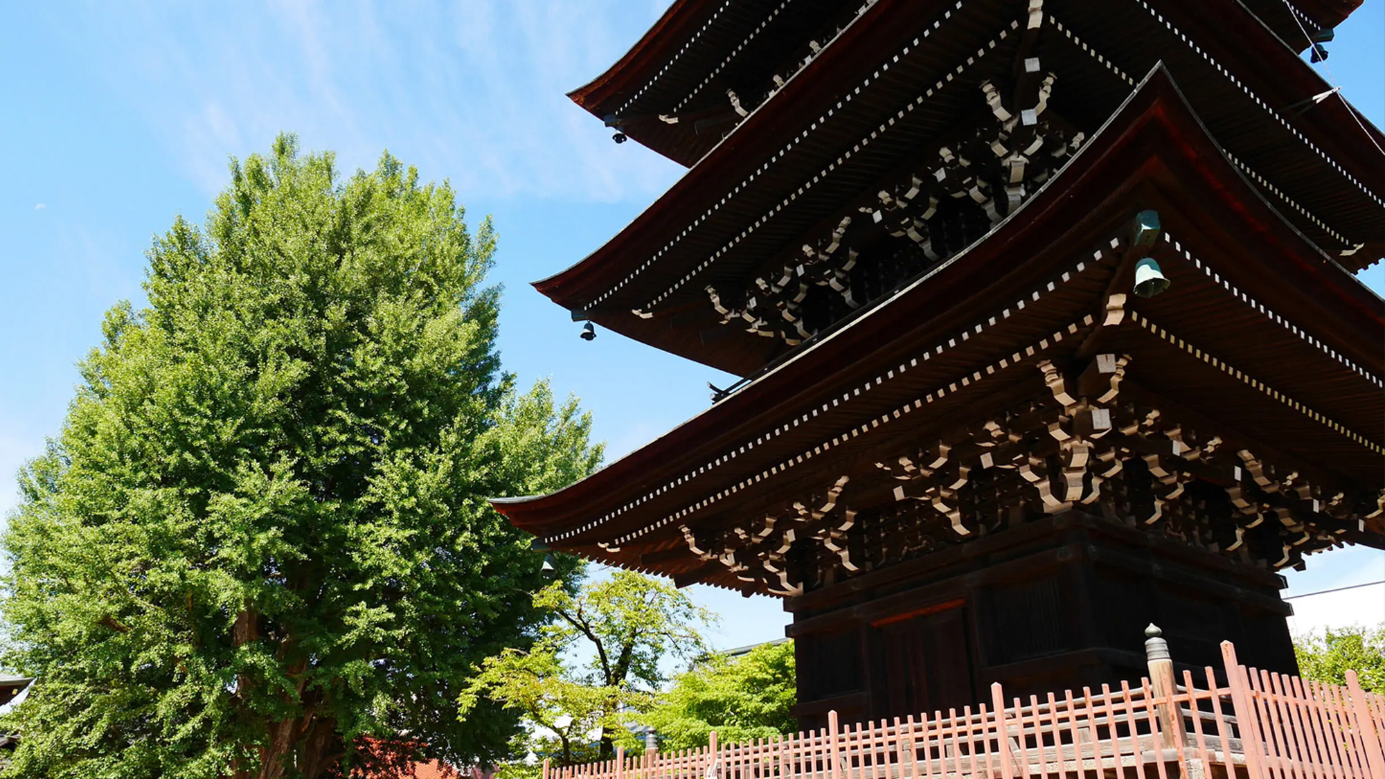 江戸時代に郡代・代官が治政を行った高山陣屋は、全国で唯一建物が現存する遺跡です。