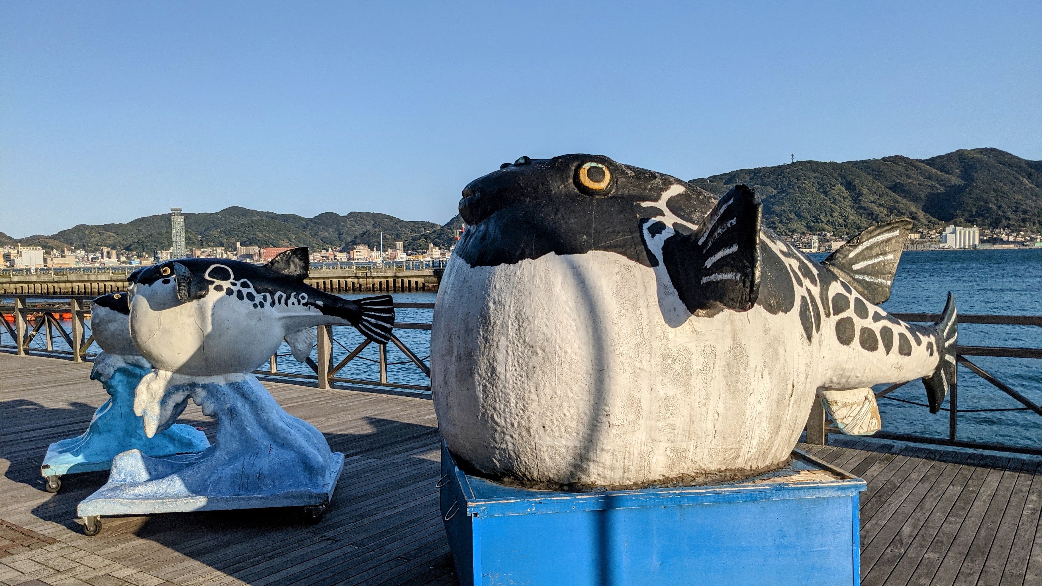 カモンワーフのふぐ