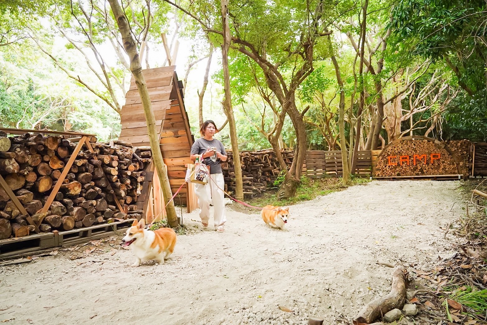 ドッグラン入り口２