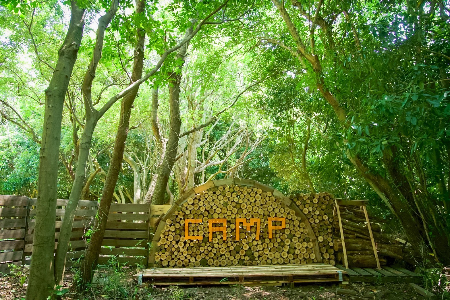 ドッグランフォトスポット