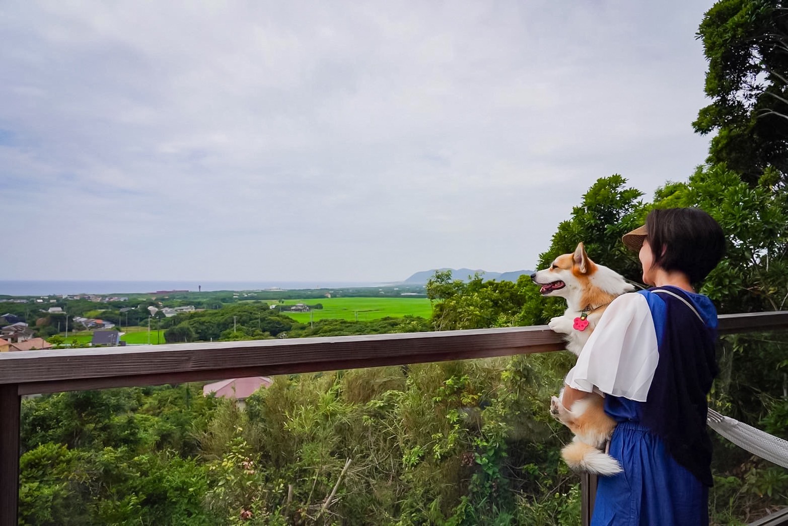 デッキからの風景