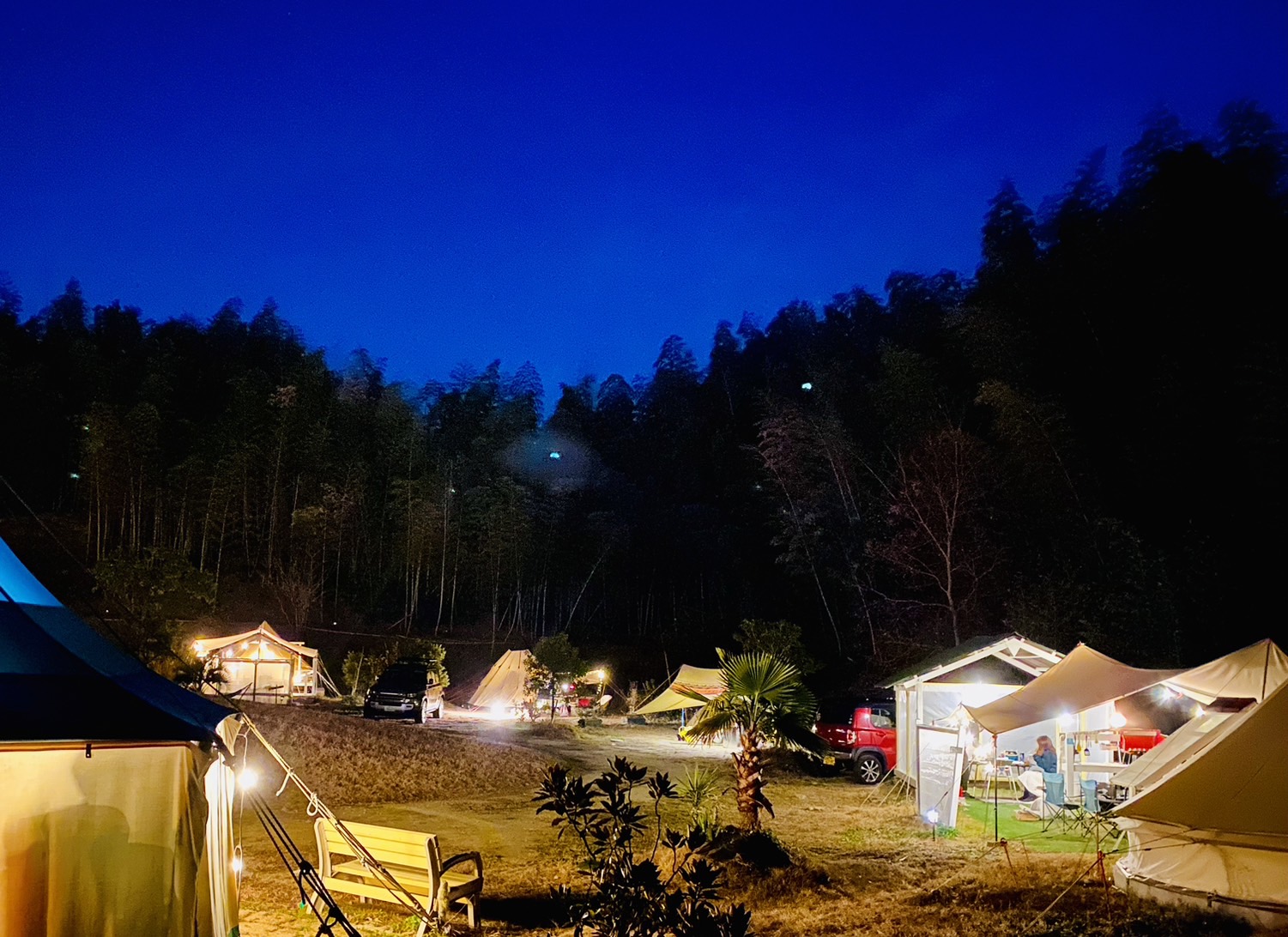 みんなでキャンプを楽しんでいる夜の風景