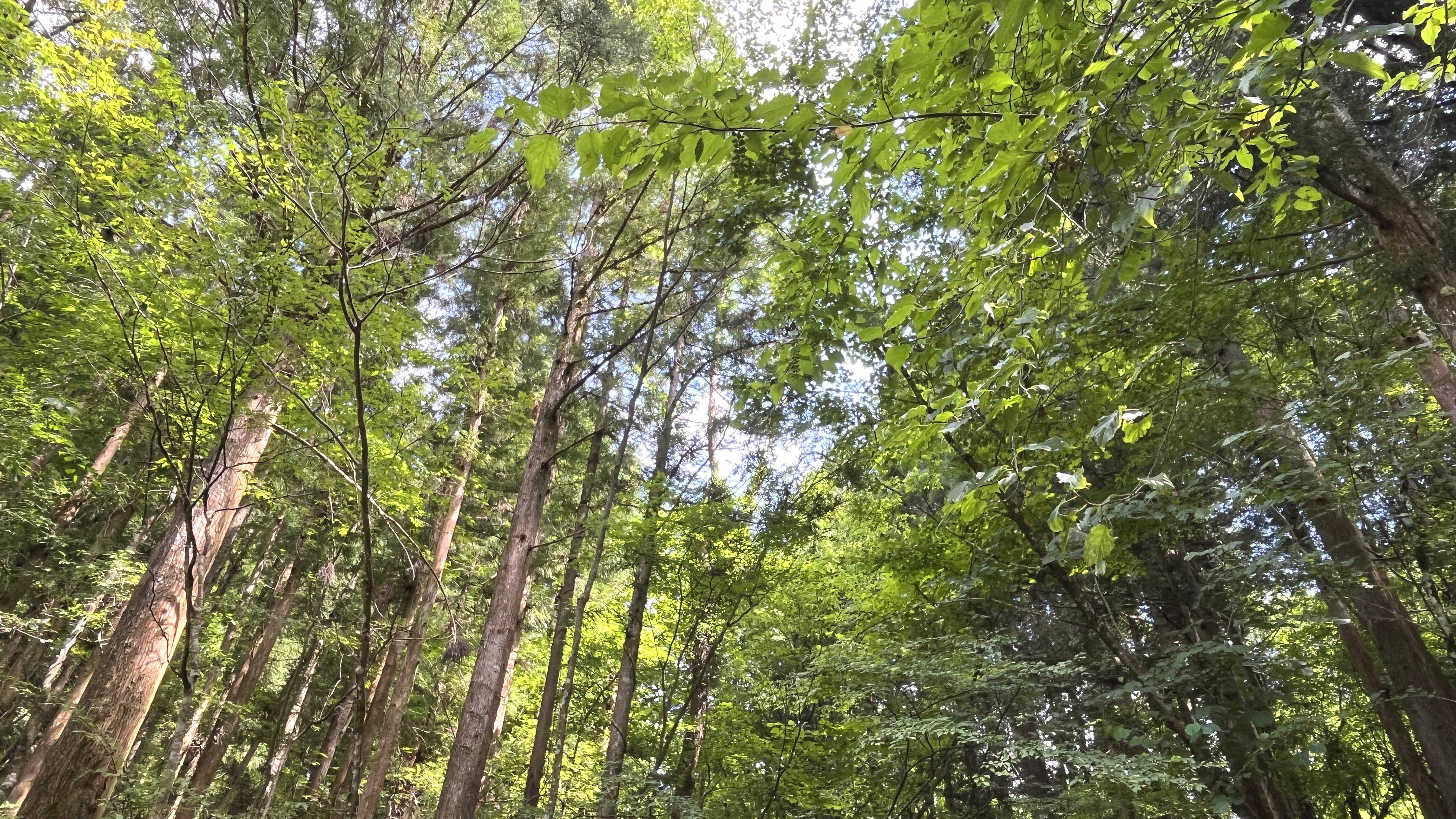 自然◇大自然の中の宿