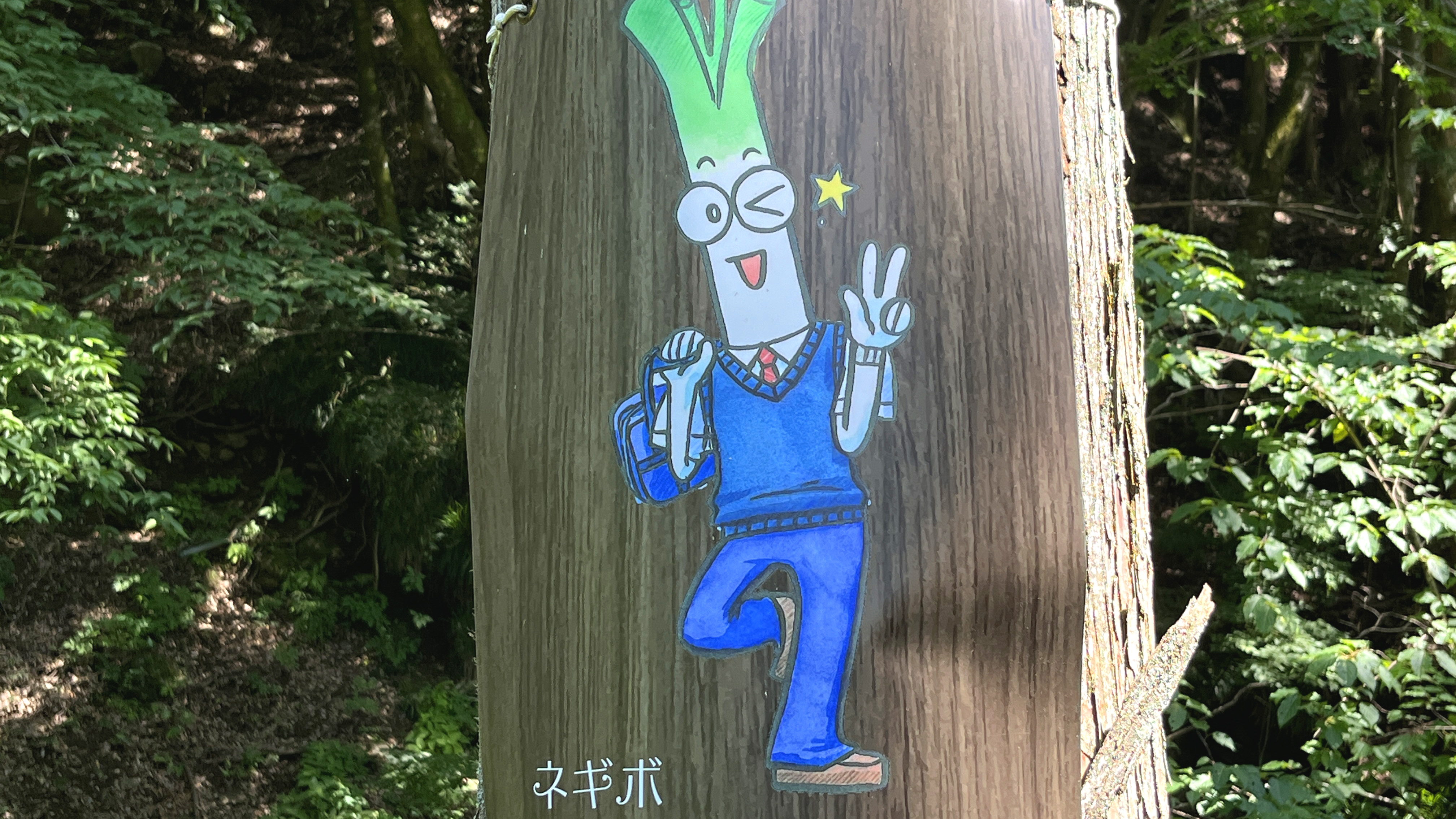 キャンプサイト◇ネギボ