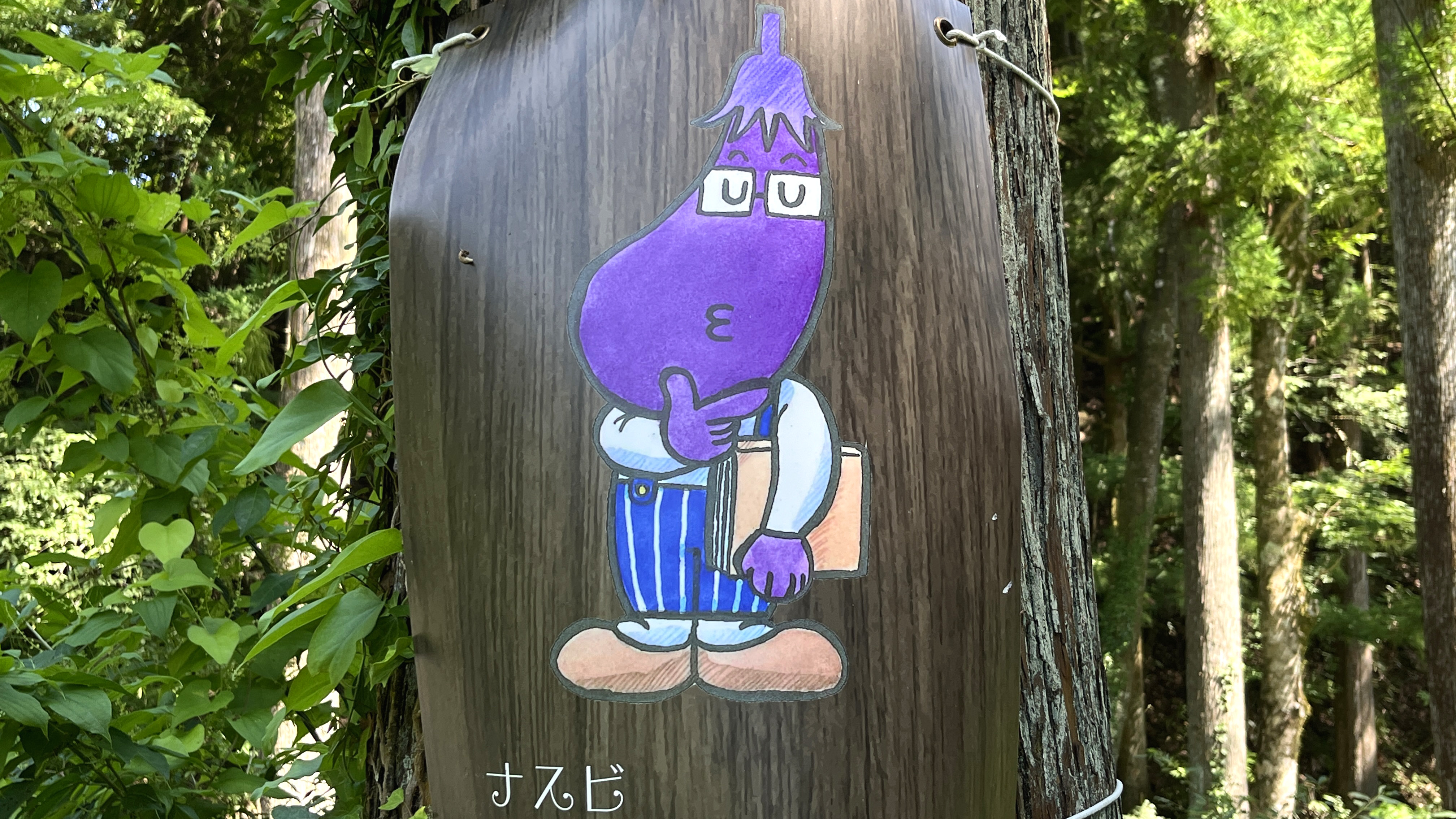 キャンプサイト◇ナスビ