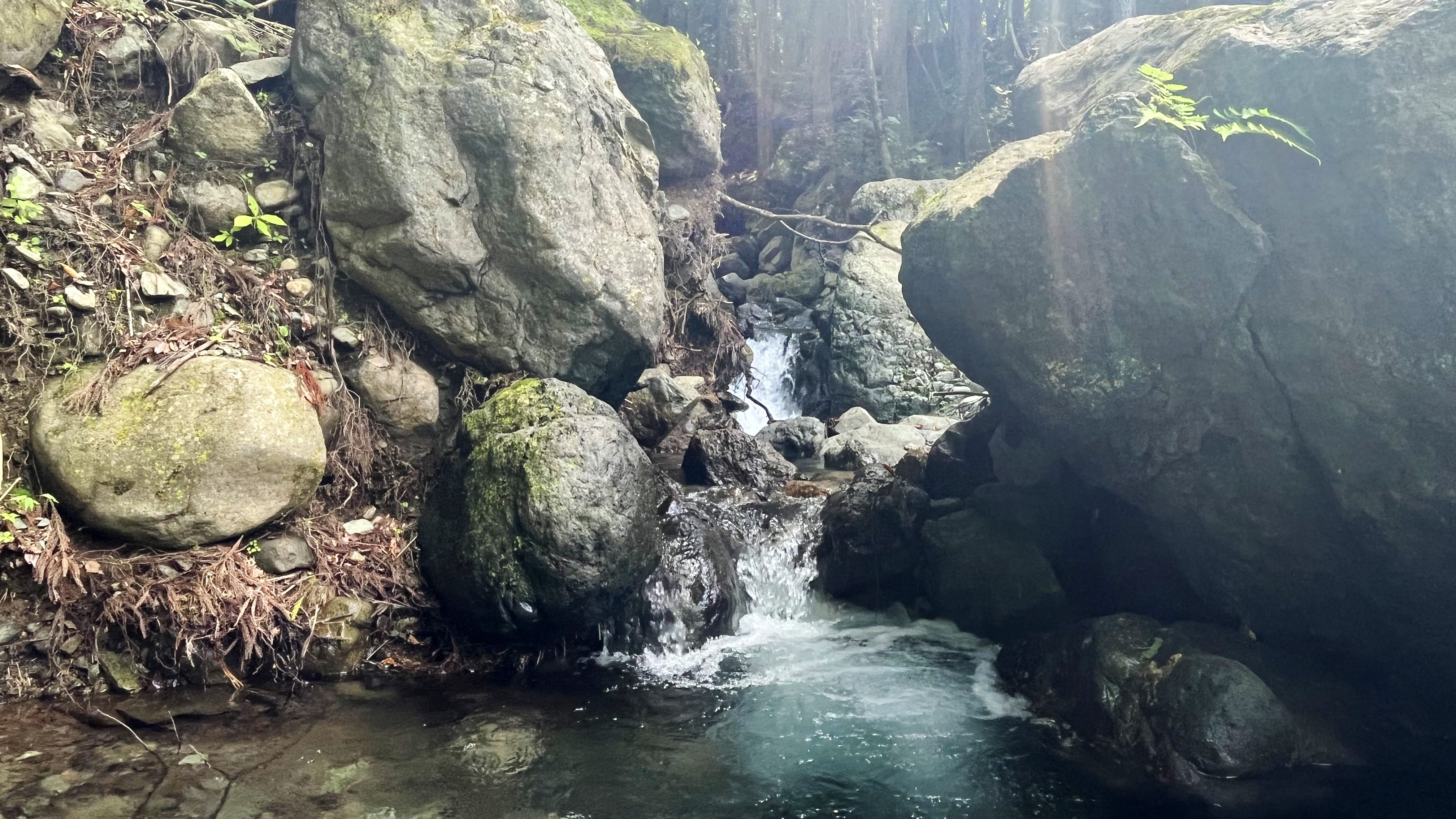 自然◇カムイと呼ぶ神秘の沢