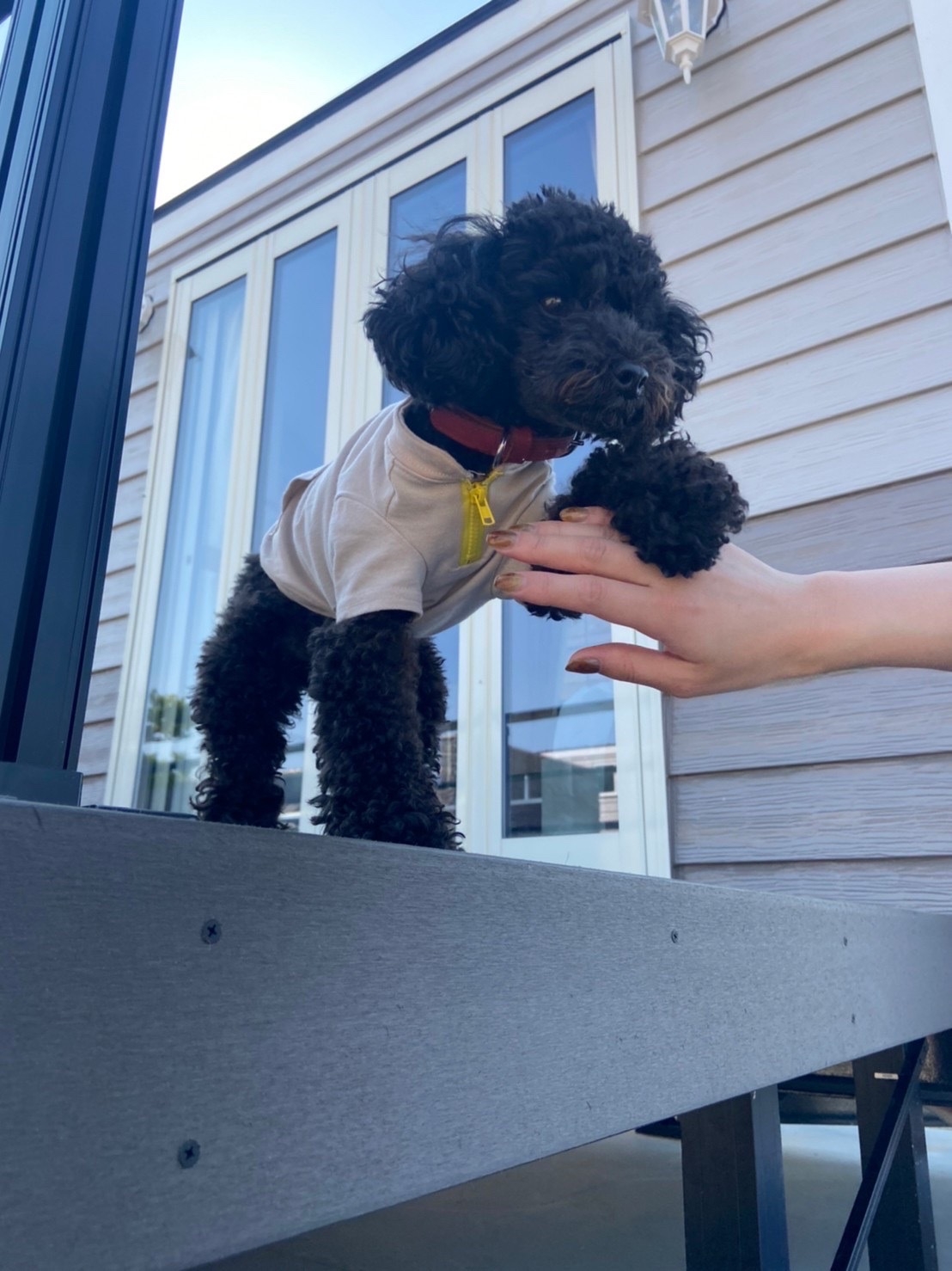 （愛犬と一緒に♪）【基本】食材持ち込みプラン