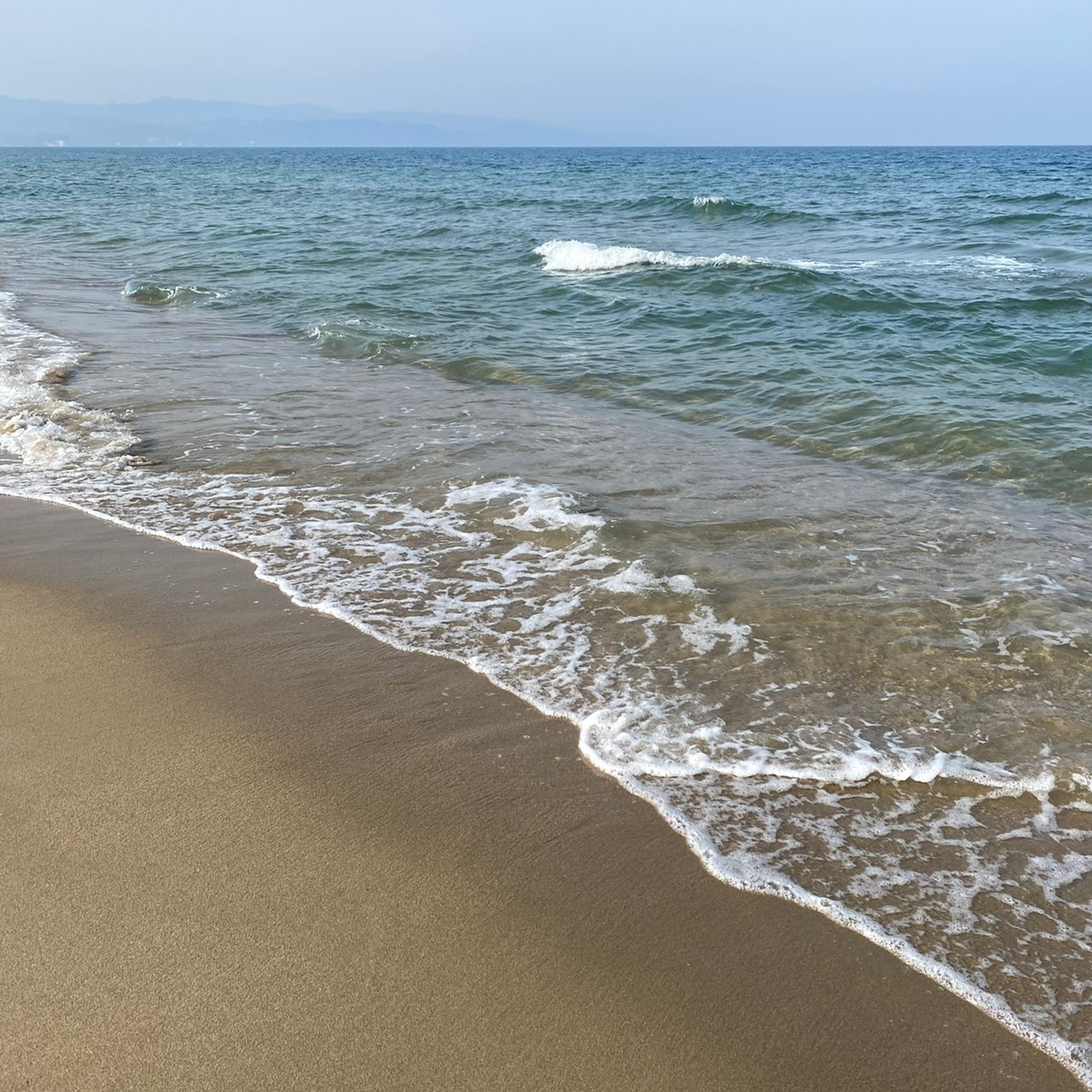 【当施設目の前の海】