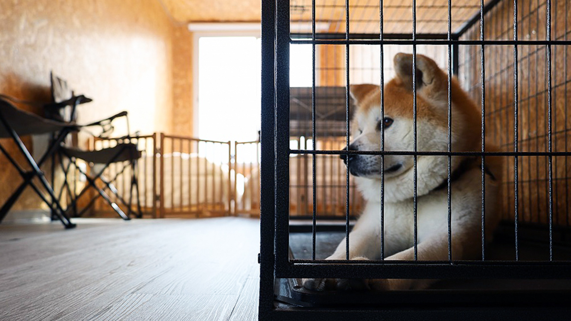 ・【N棟】ペット用の設備が整っているので、安心してお泊りいただけます