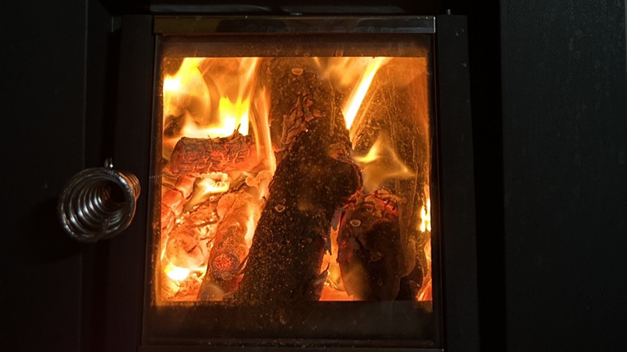 ブナガヤ（きじむなー）が宿るハーバルサウナ