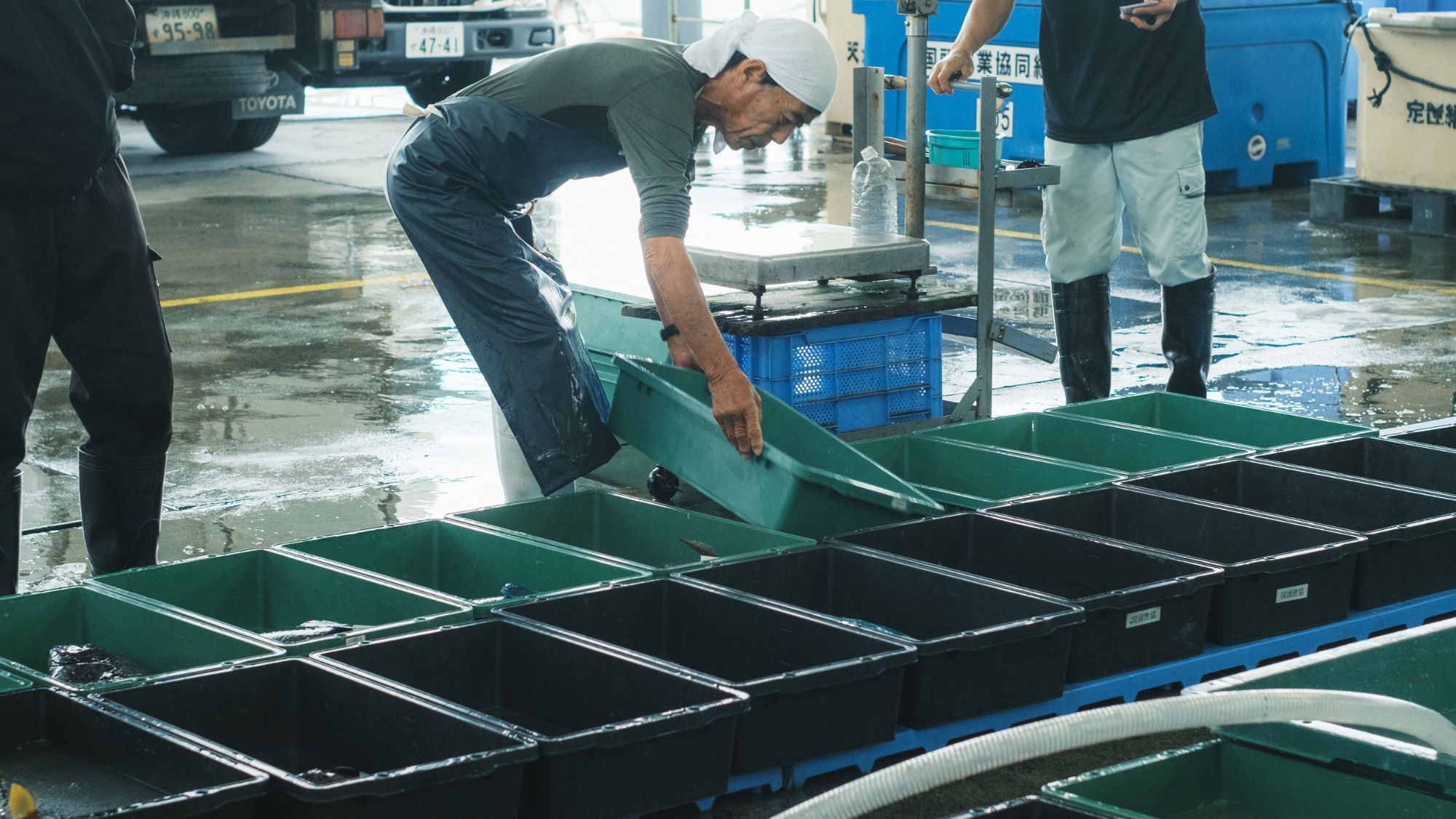 辺土名漁港｜セリの様子