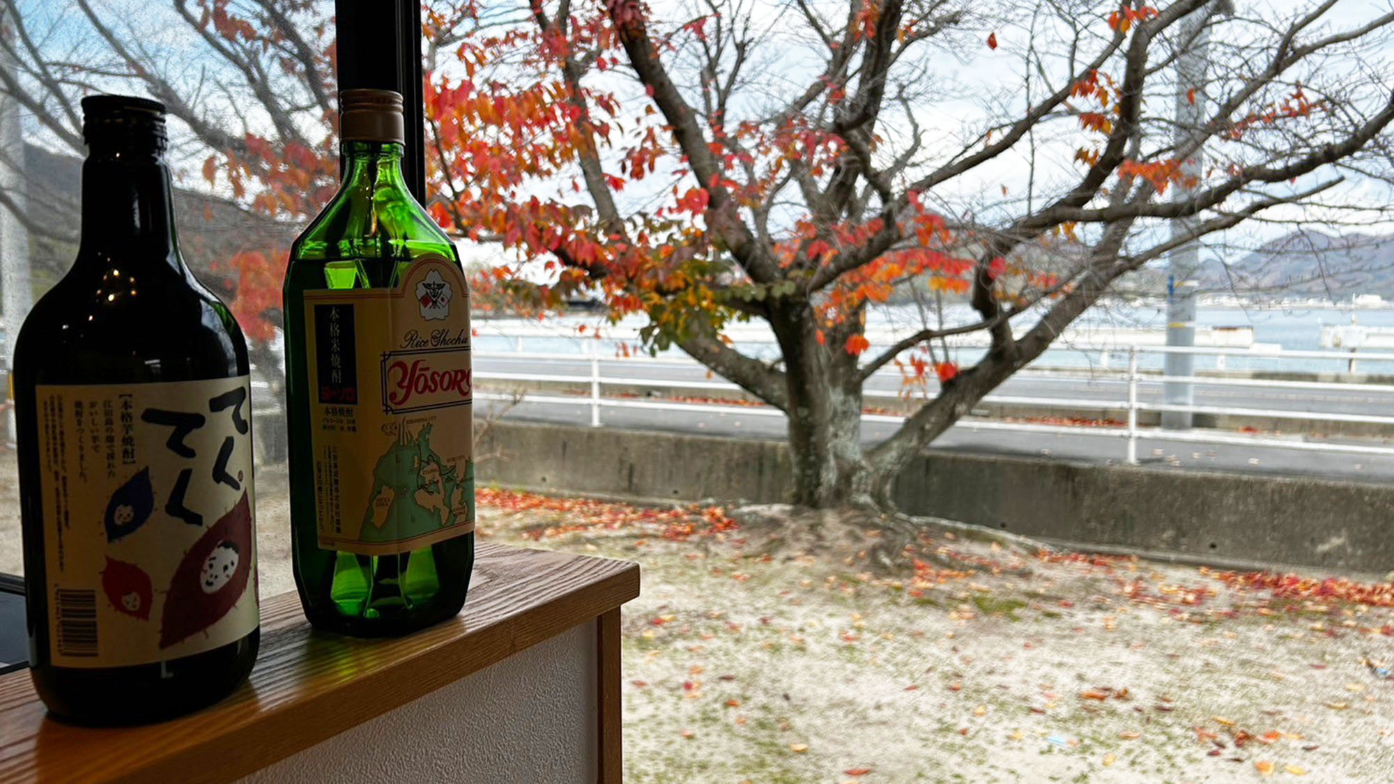 ・【喫茶】庭の景色を眺めながらお食事をお楽しみください