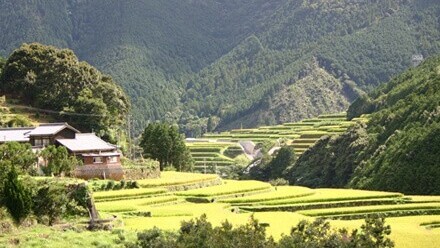 山出（やまいだし）の棚田