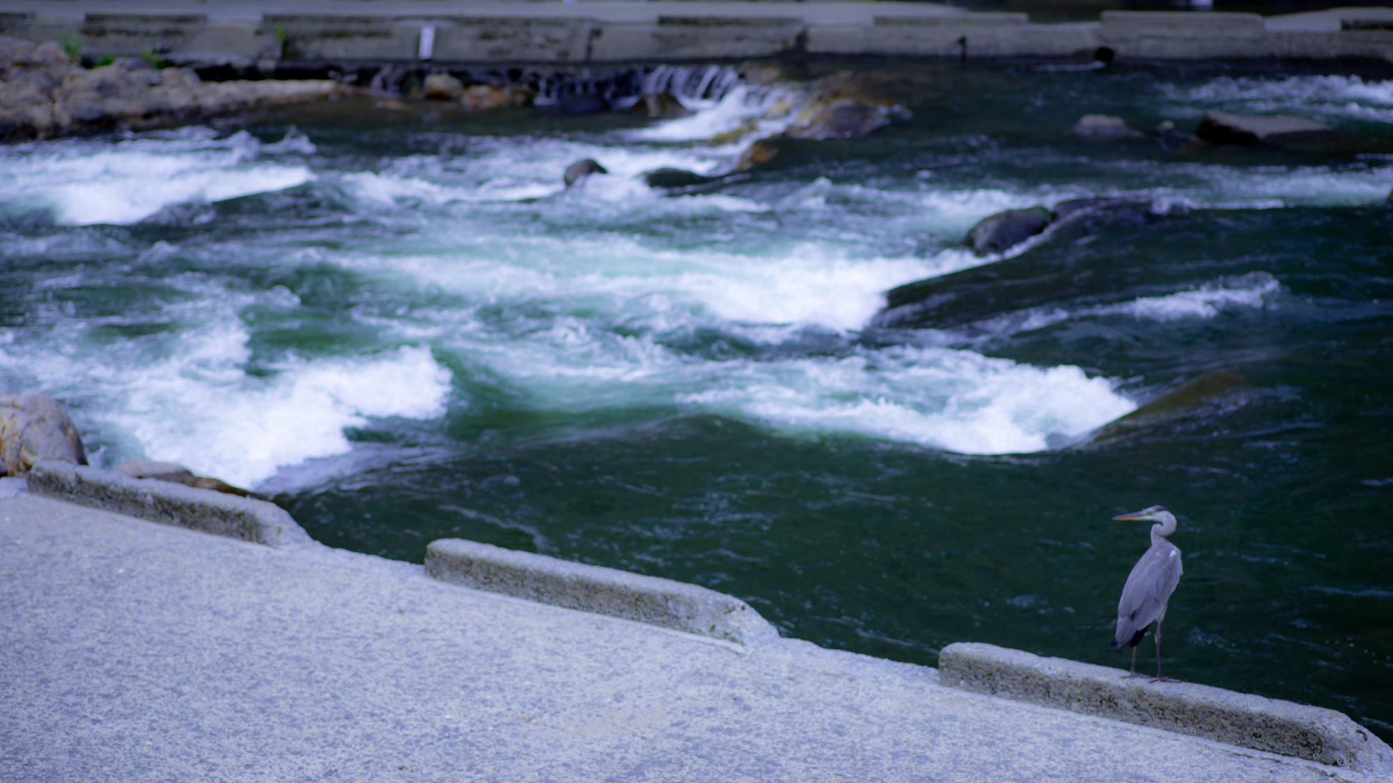 目の前を流れる杖立川　