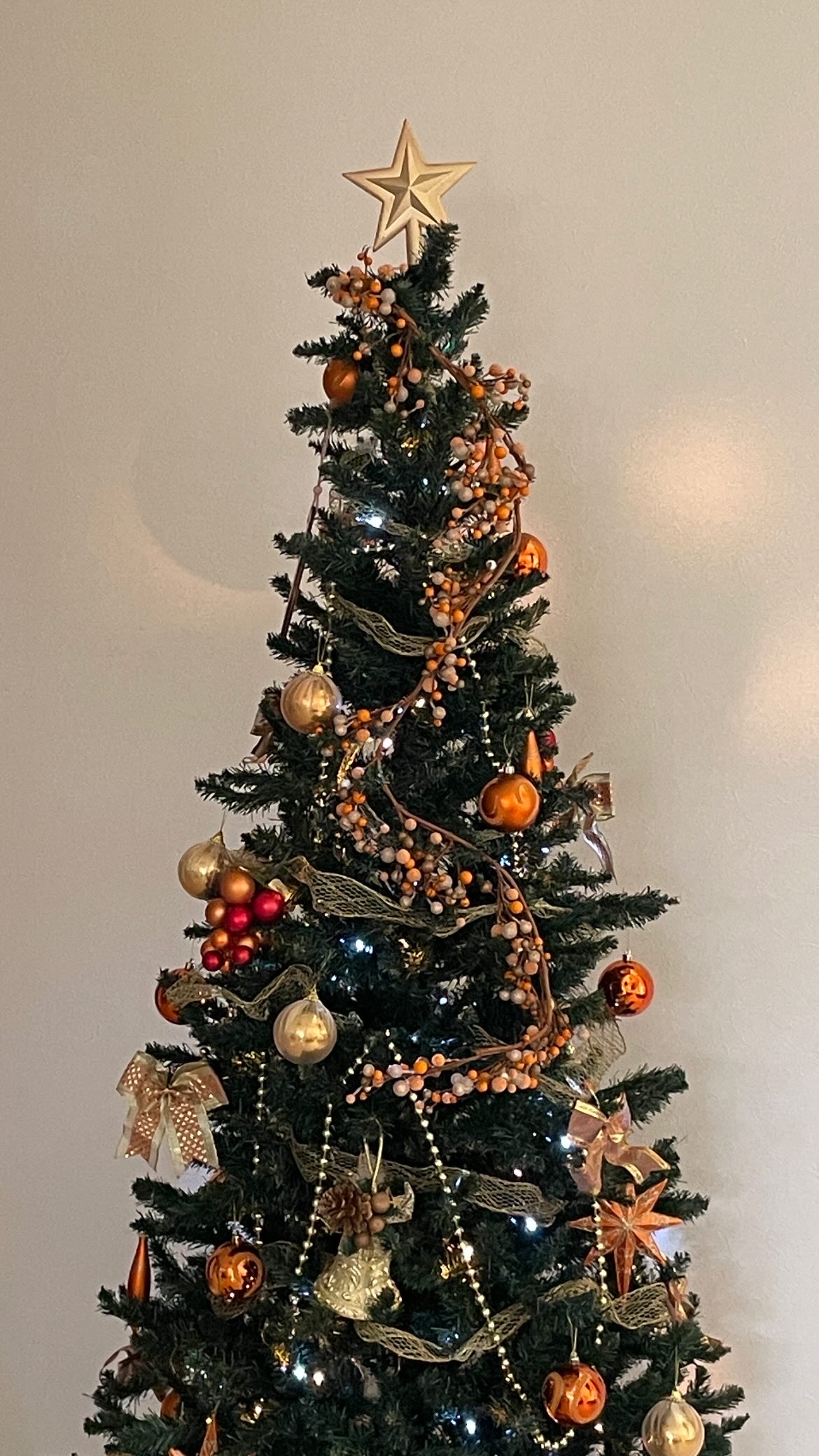 クリスマスツリー