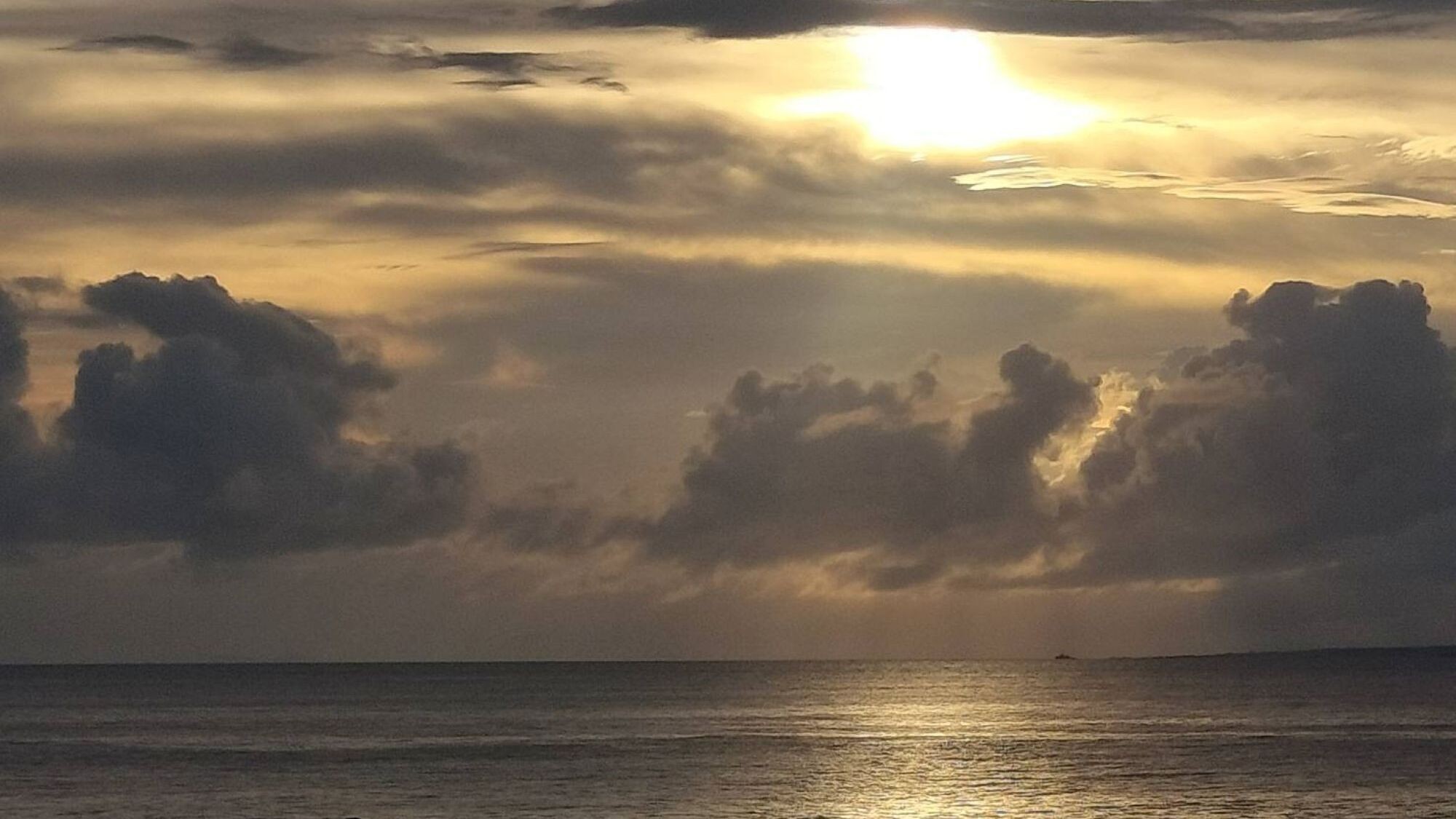 【住吉ビレッジ種子島】敷地からの風景
