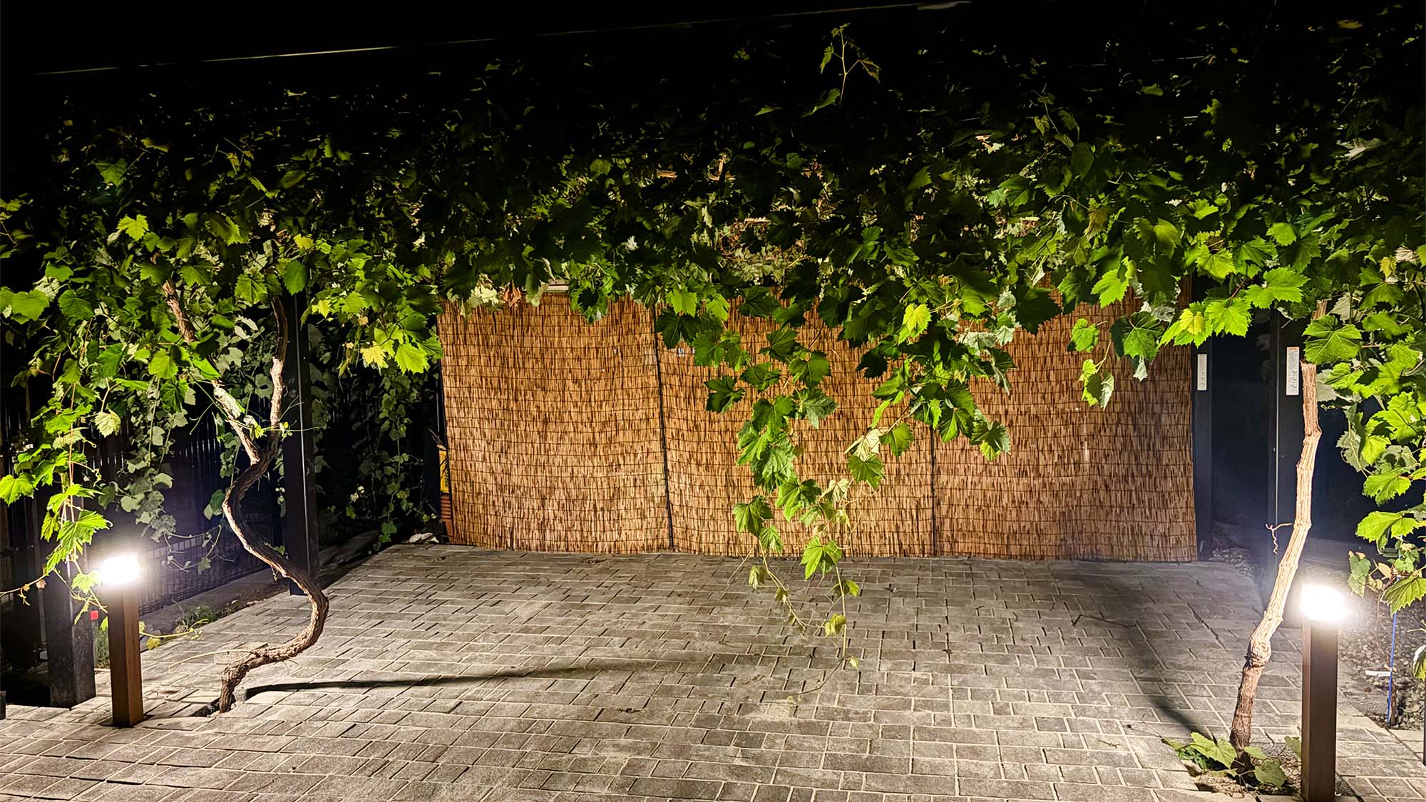 ・【テラス】夜にはライトが灯り、静寂の中でも思い出を振り返る時間を過ごせます