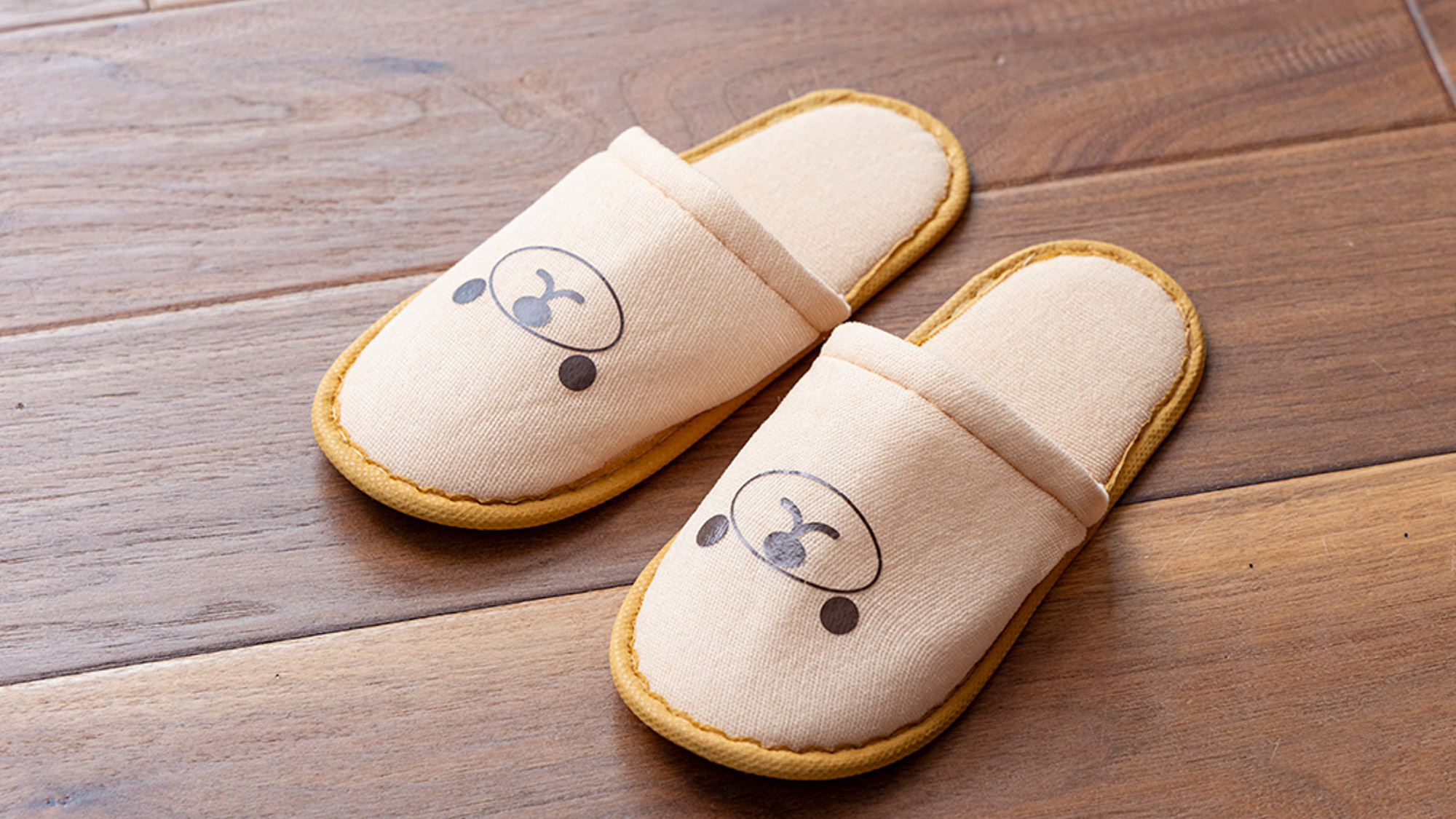 子供用スリッパ、子供用歯ブラシを無料にてご用意しています。