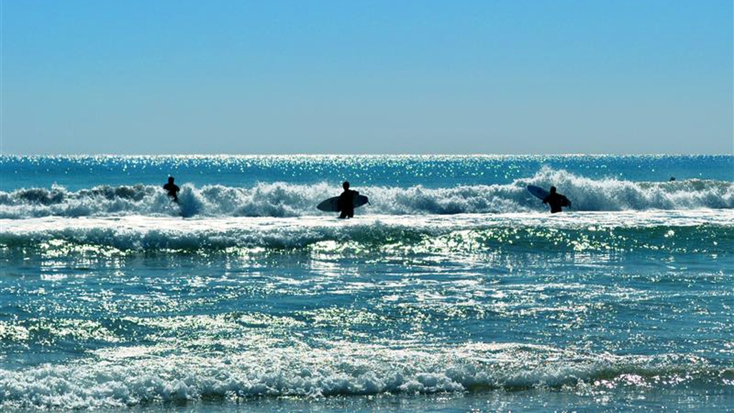 【サーファー・バス釣りなど】毎日、波乗りできる??北泉海岸まで15分♪【夕食のみ】