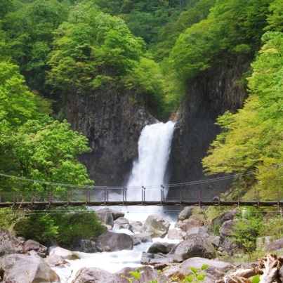 「日本の滝百選」にも選ばれている苗名滝。雪解けの水で水量が増し、迫力のある音がとどろきます。