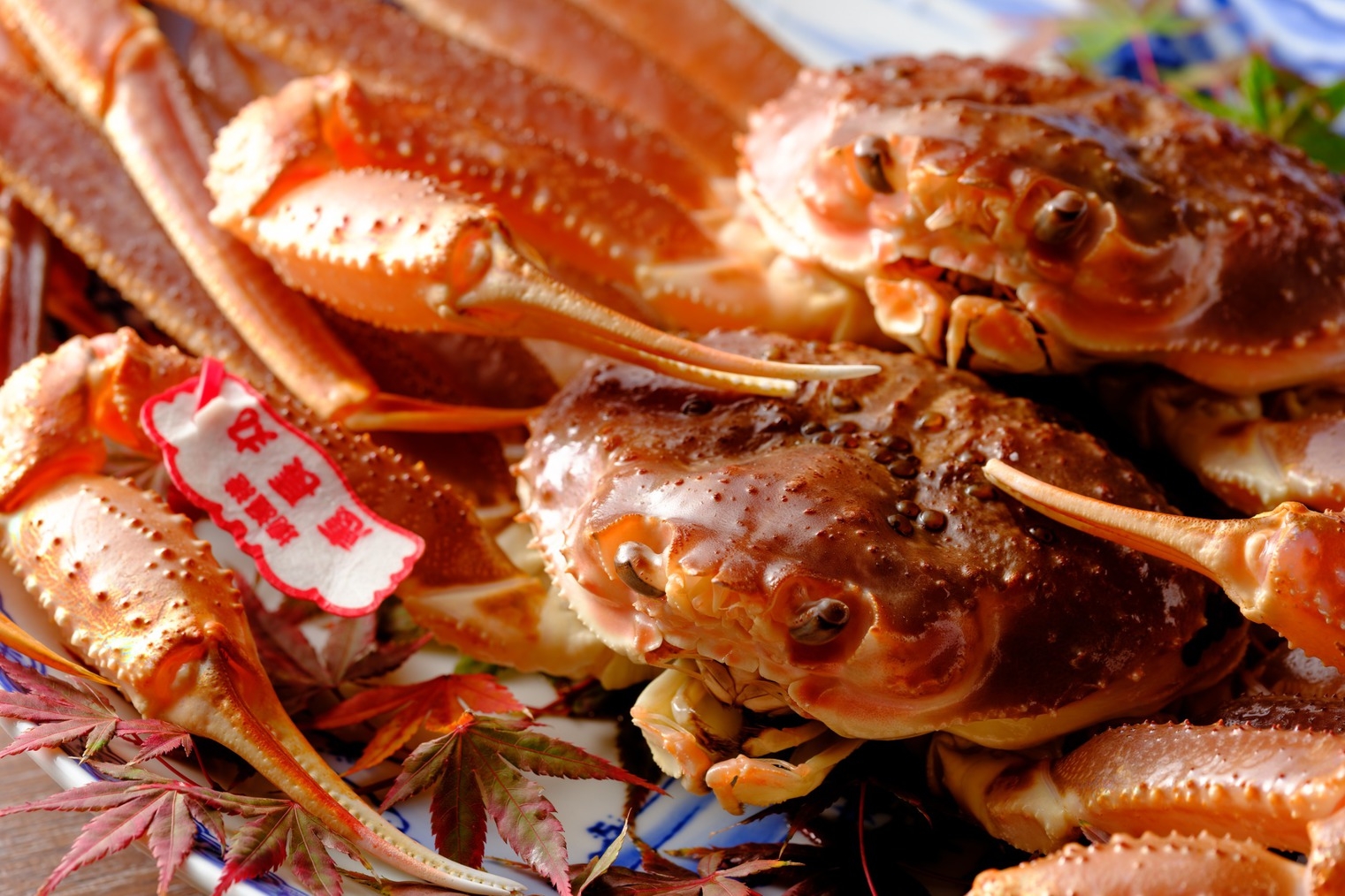 【秋冬｜期間限定】「タグ付き｜活き松葉がに」☆冬の味覚を味わうプラン