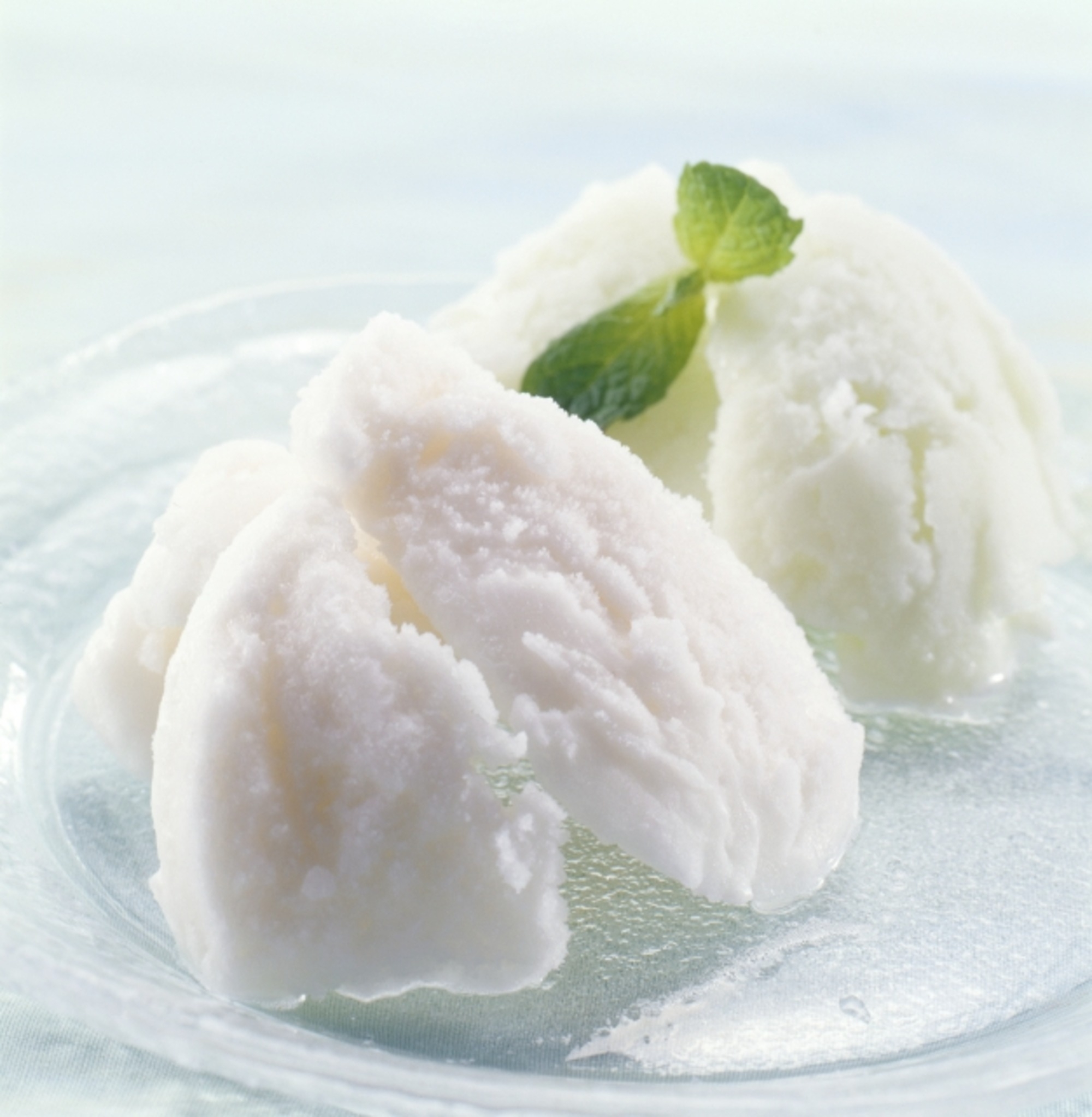 限定/冬の饗宴【開業１周年記念｜第２弾】蒸しズワイ蟹一枚と山陰和牛A5ミスジの贅沢プラン