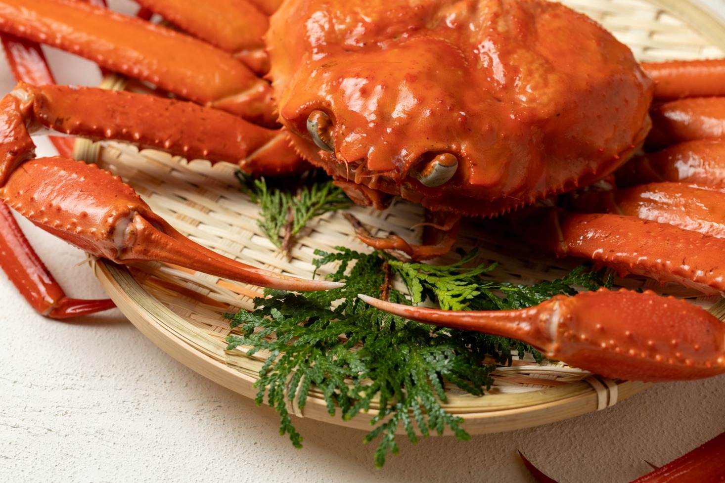 限定/冬の饗宴【開業１周年記念｜第２弾】蒸しズワイ蟹一枚と山陰和牛A5ミスジの贅沢プラン