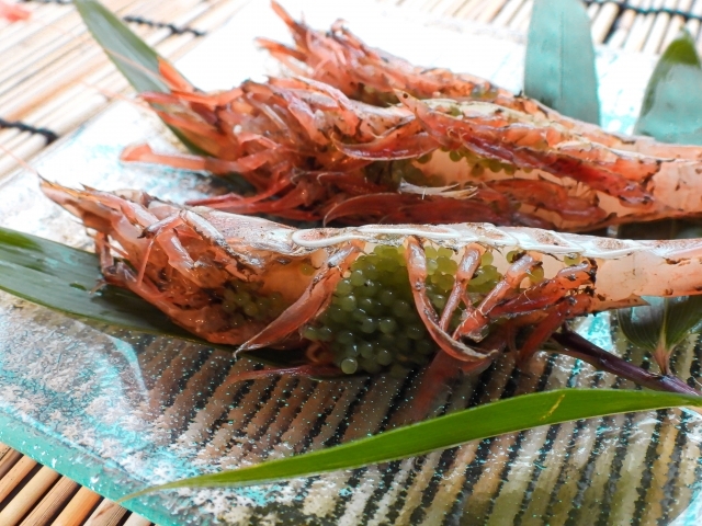 【1泊2食｜期間限定】山陰の味覚｜「紅ズワイ蟹｜山陰きのこ｜山陰A5和牛」♪