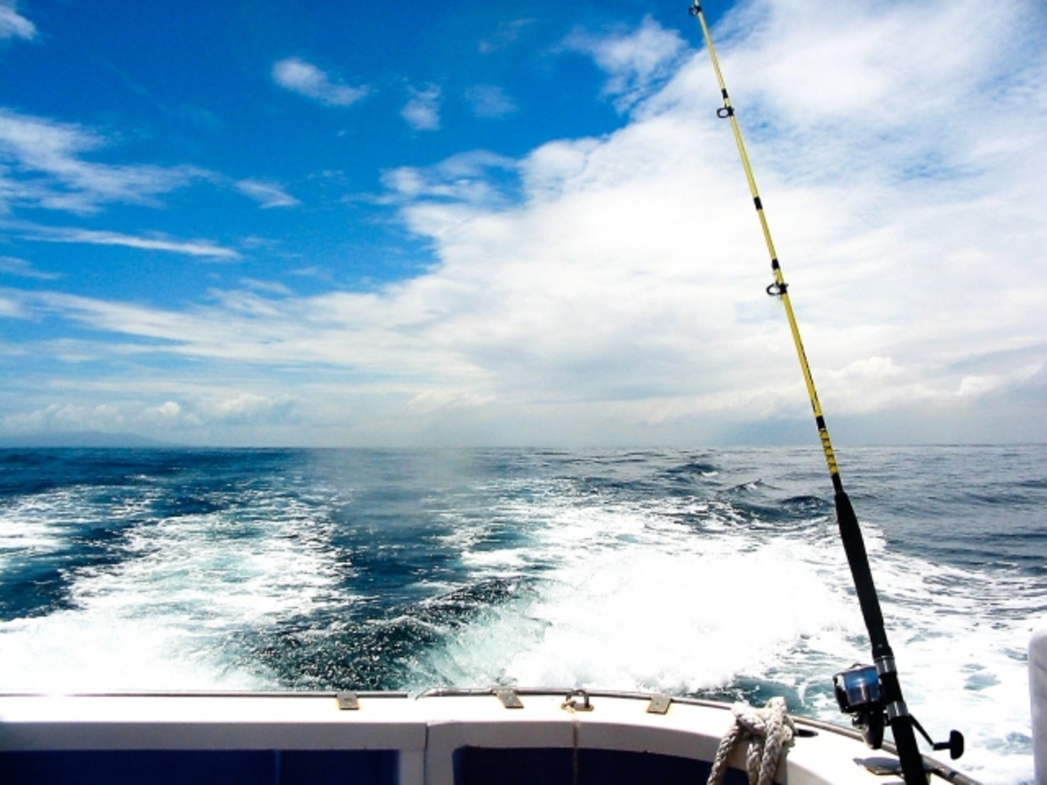 【体験　Activity】