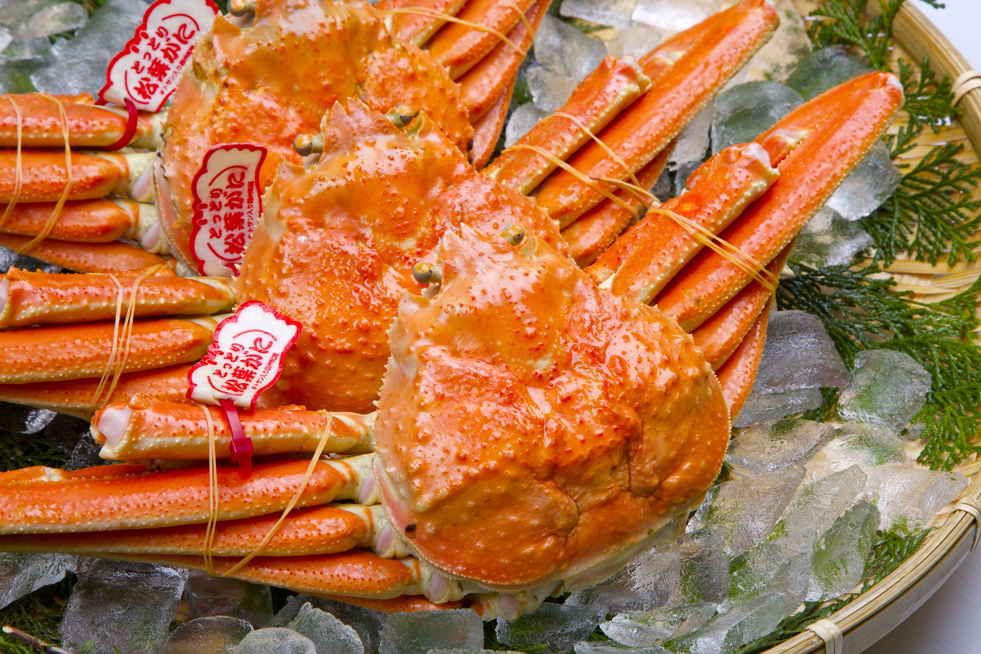 【松葉がに】