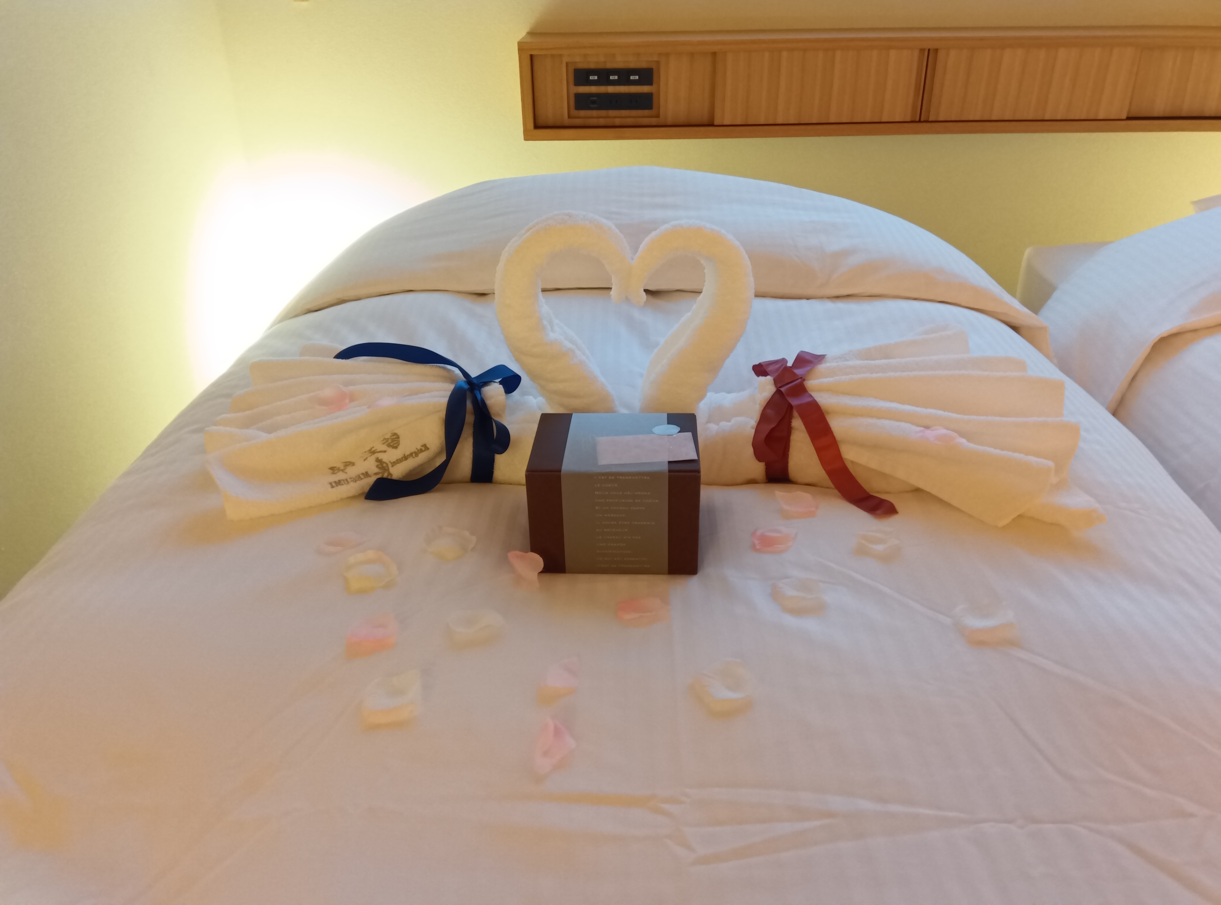 【タオルアート】スワン