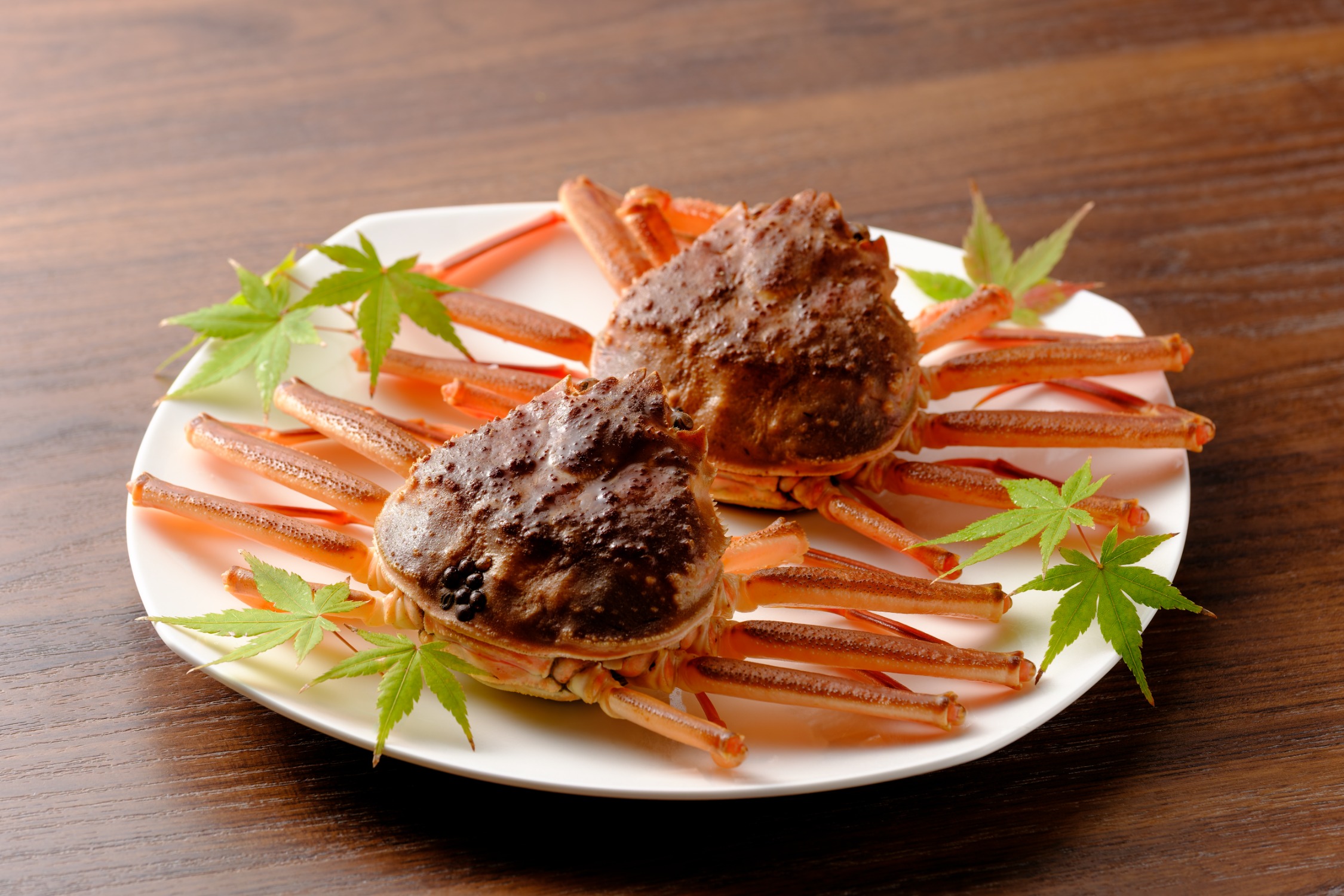 【松葉がに（親ガニ）】