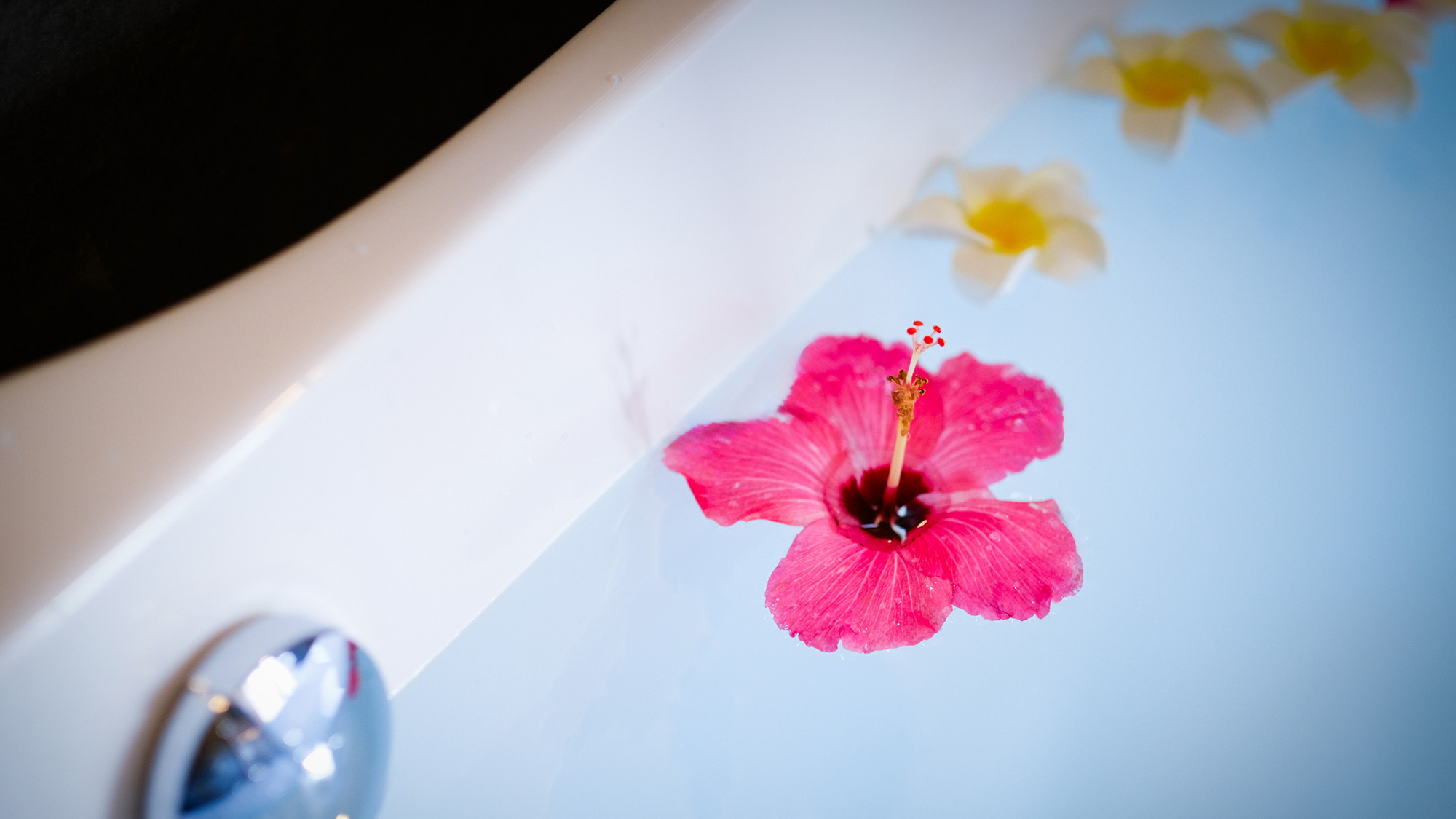 ・【バスルーム】広いバスタブに浸かってゆったりお寛ぎください