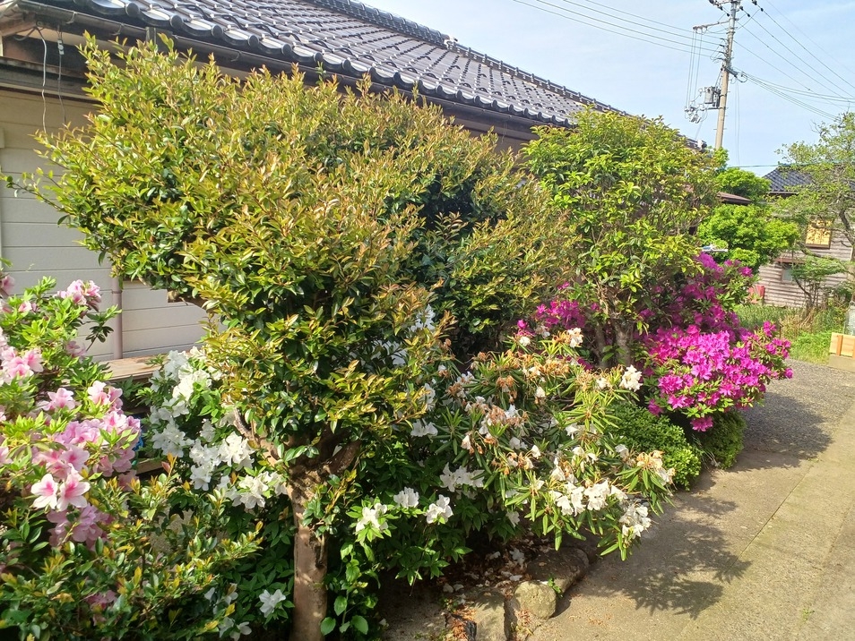 平日お得プラン (６月はおすすめ）