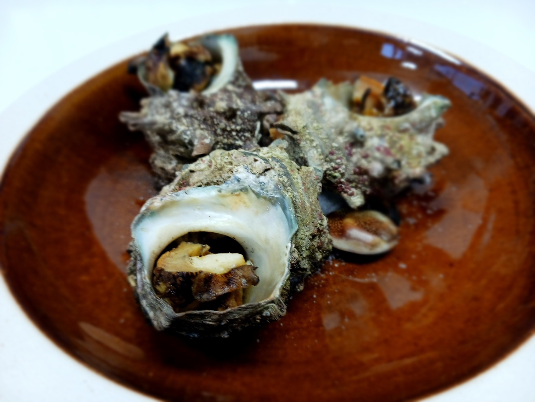 やっぱり魚が好き！魚尽くしプラン