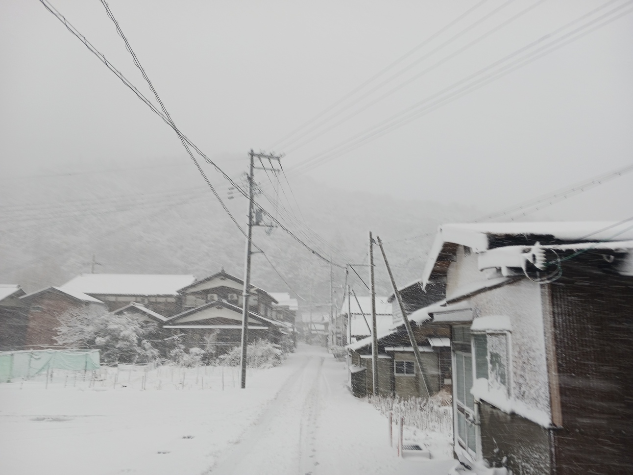 京都の田舎町・日本海に面した伊根町でのんびり過ごしませんか？