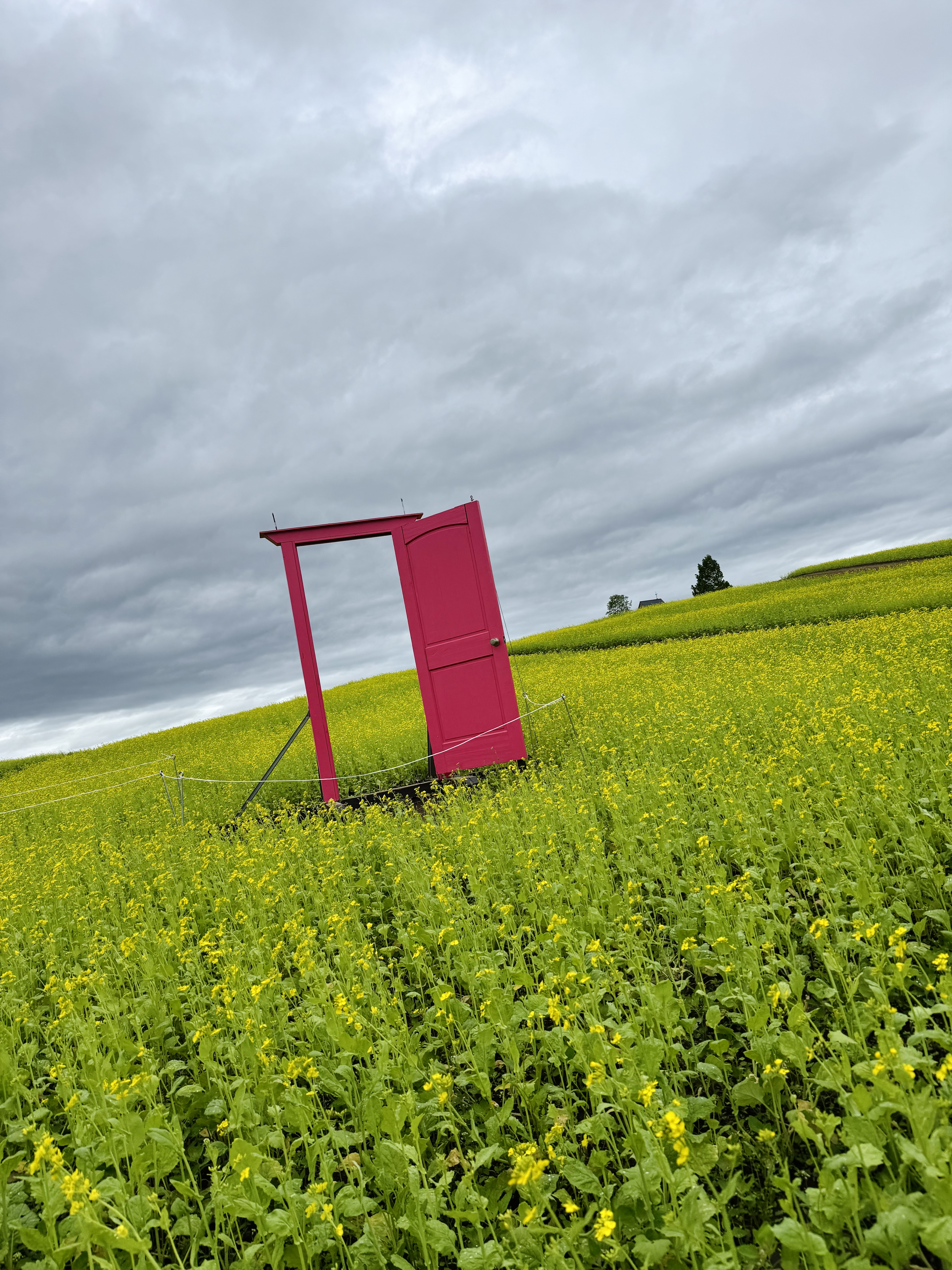 やくらいガーデン01