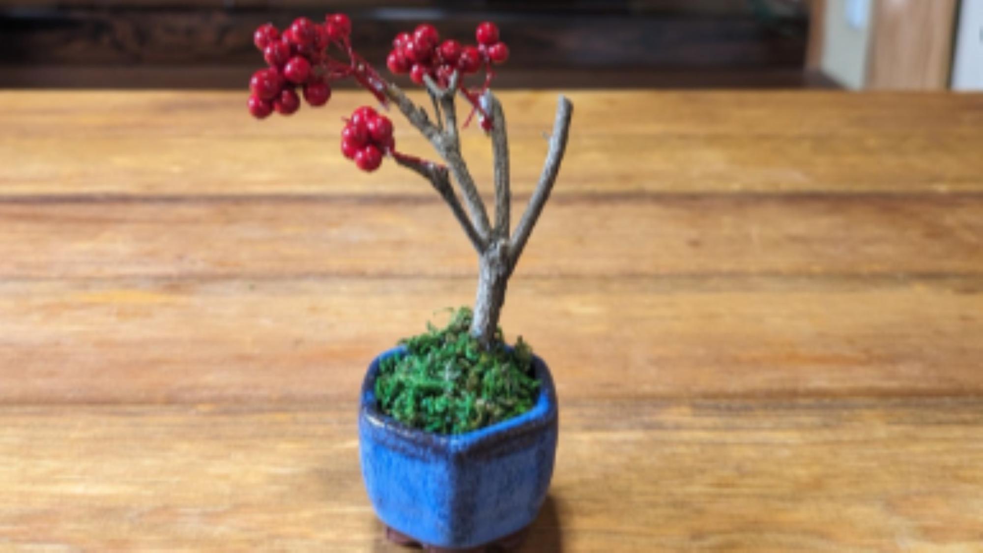 ドライ盆栽体験（子供向け作品）