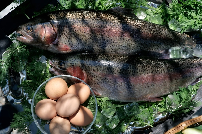 【夕・朝食付き】八ヶ岳の旬と、本格タイ料理が織りなす贅沢なひととき