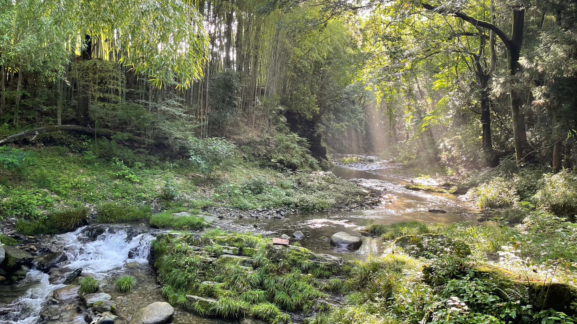 ・【三沢川】人の手が加わっていない自然豊かな川で、日々の疲れを癒しませんか