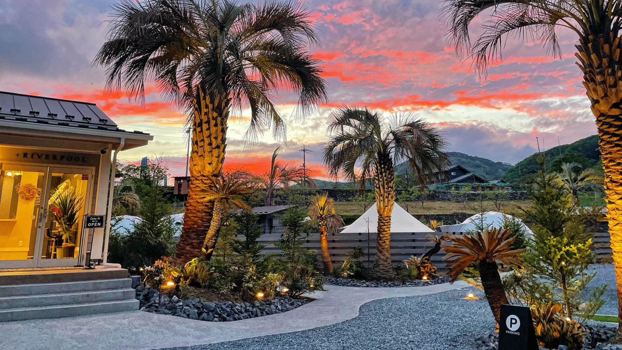 ・【外観】ヤシの木で南国気分を。到着後受付にてチェックインをお願いいたします