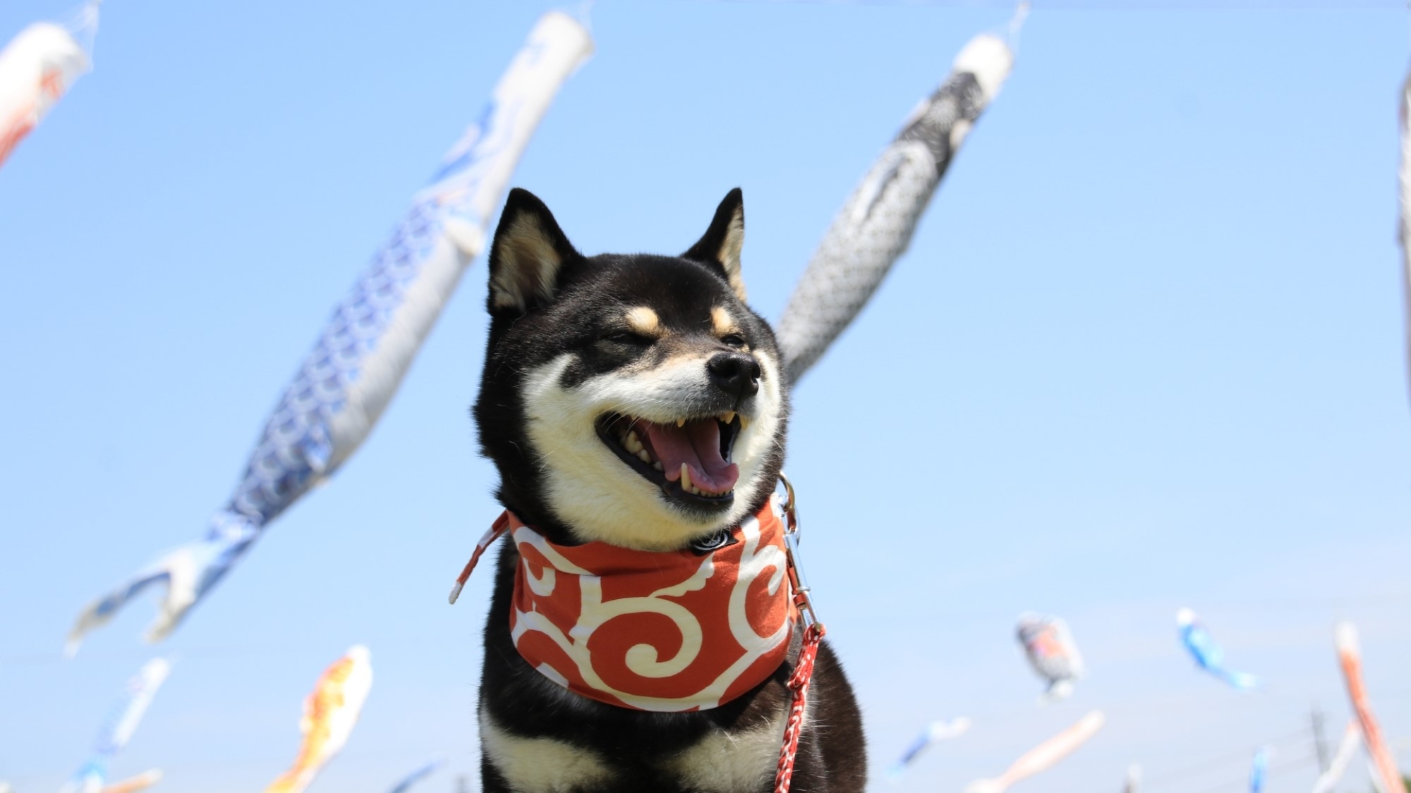 【春旅SALE】《最大20％OFF》海の見える当館で最上級を／熱海の温泉でゆるり旅＜■特選鍋会席＞