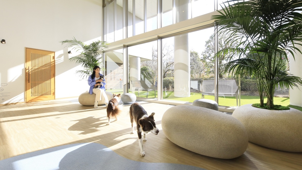 【タイムセール×お部屋食】1室限定《最大20％OFF》夕食はお部屋で愛犬と＜★基本鍋会席／お部屋食＞